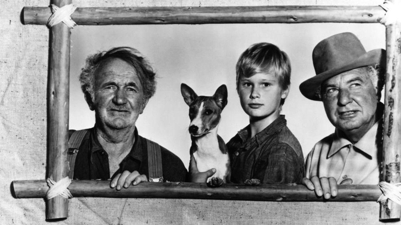Good-bye, My Lady 1956 movie scene