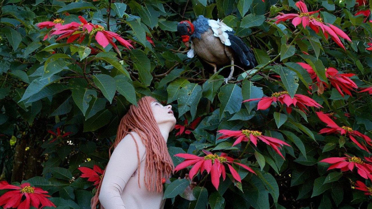 The Diaries of Adam and Eve 2025 movie scene