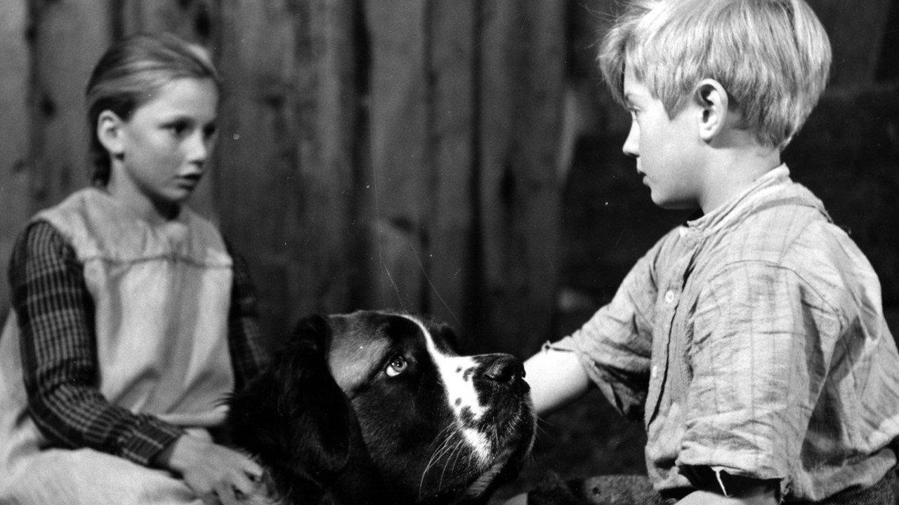 Heart of a Child 1958 movie scene