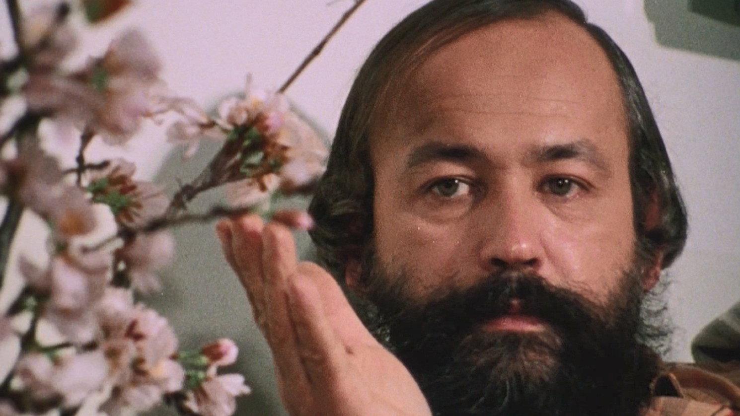 Beauty of the Land of Cherry Blossoms 1980 movie scene