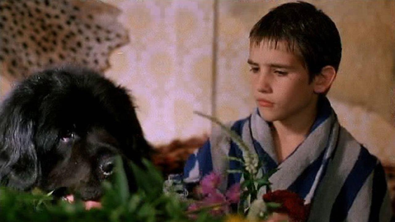 The Boy with the Big Black Dog 1986 movie scene