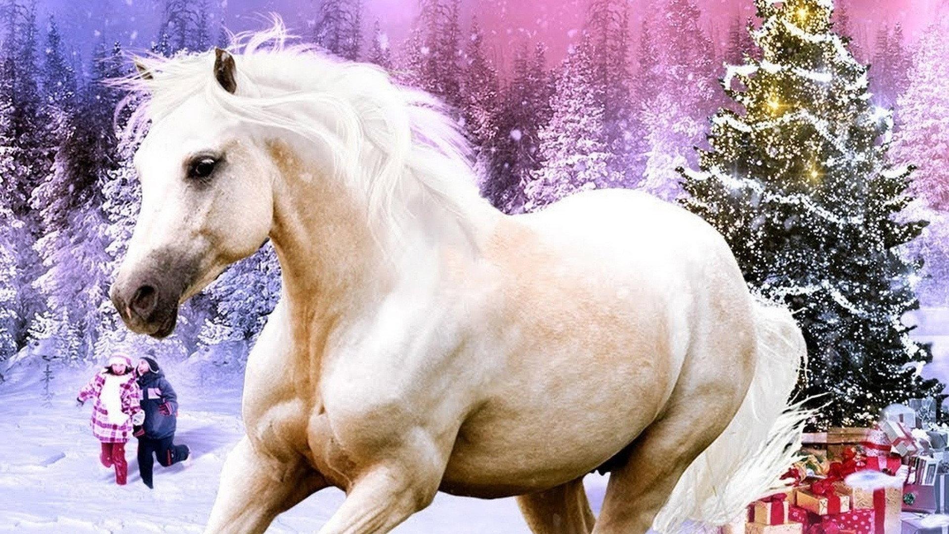 My Christmas Pony 2016 movie scene