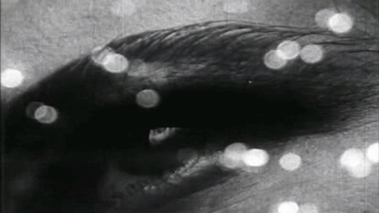 Triptych on Matter and Death 1960 movie scene