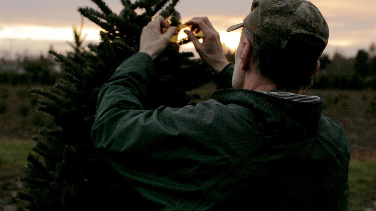 Noble Fir 2014 movie scene