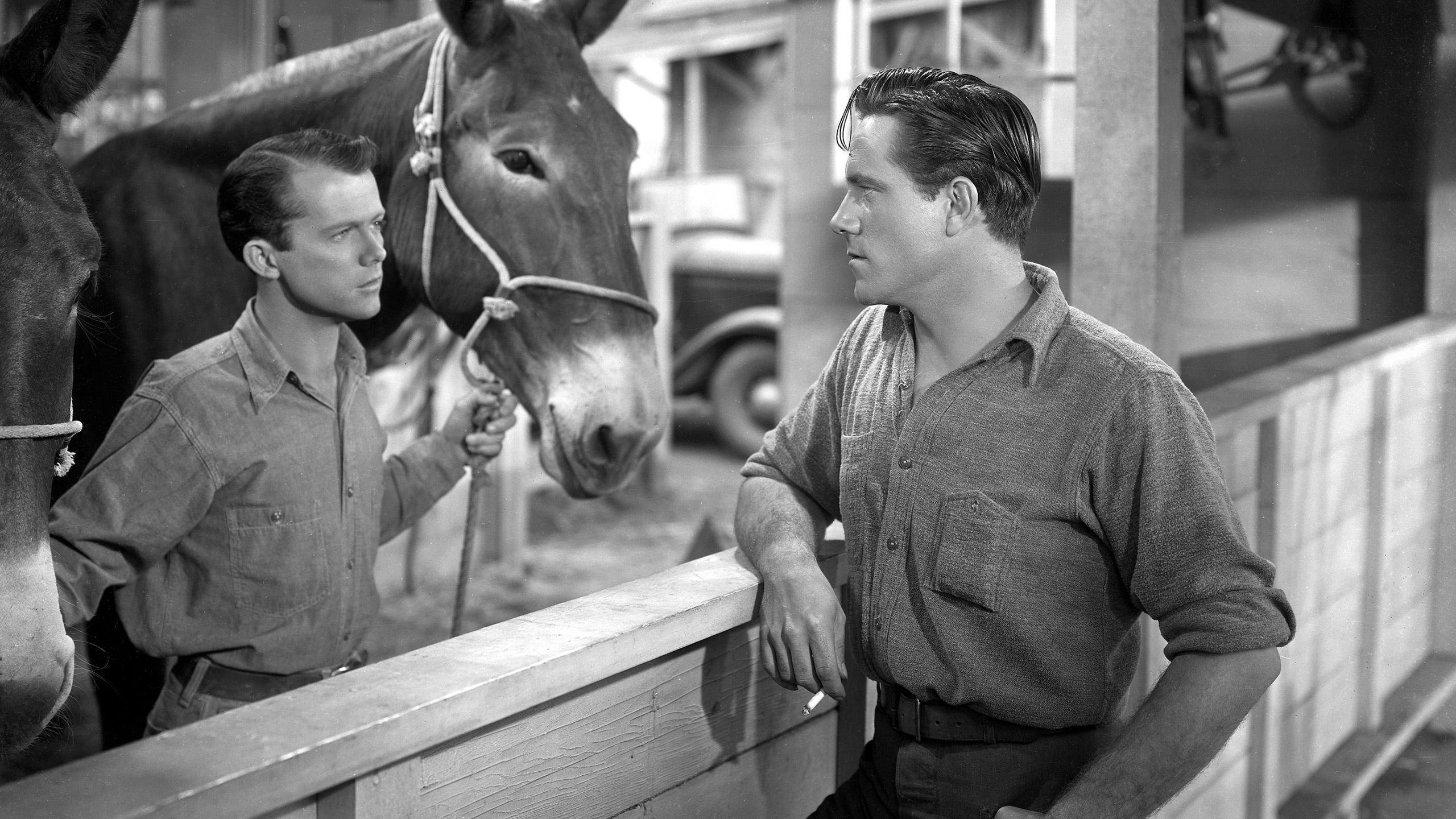 Scudda Hoo! Scudda Hay! 1948 movie scene