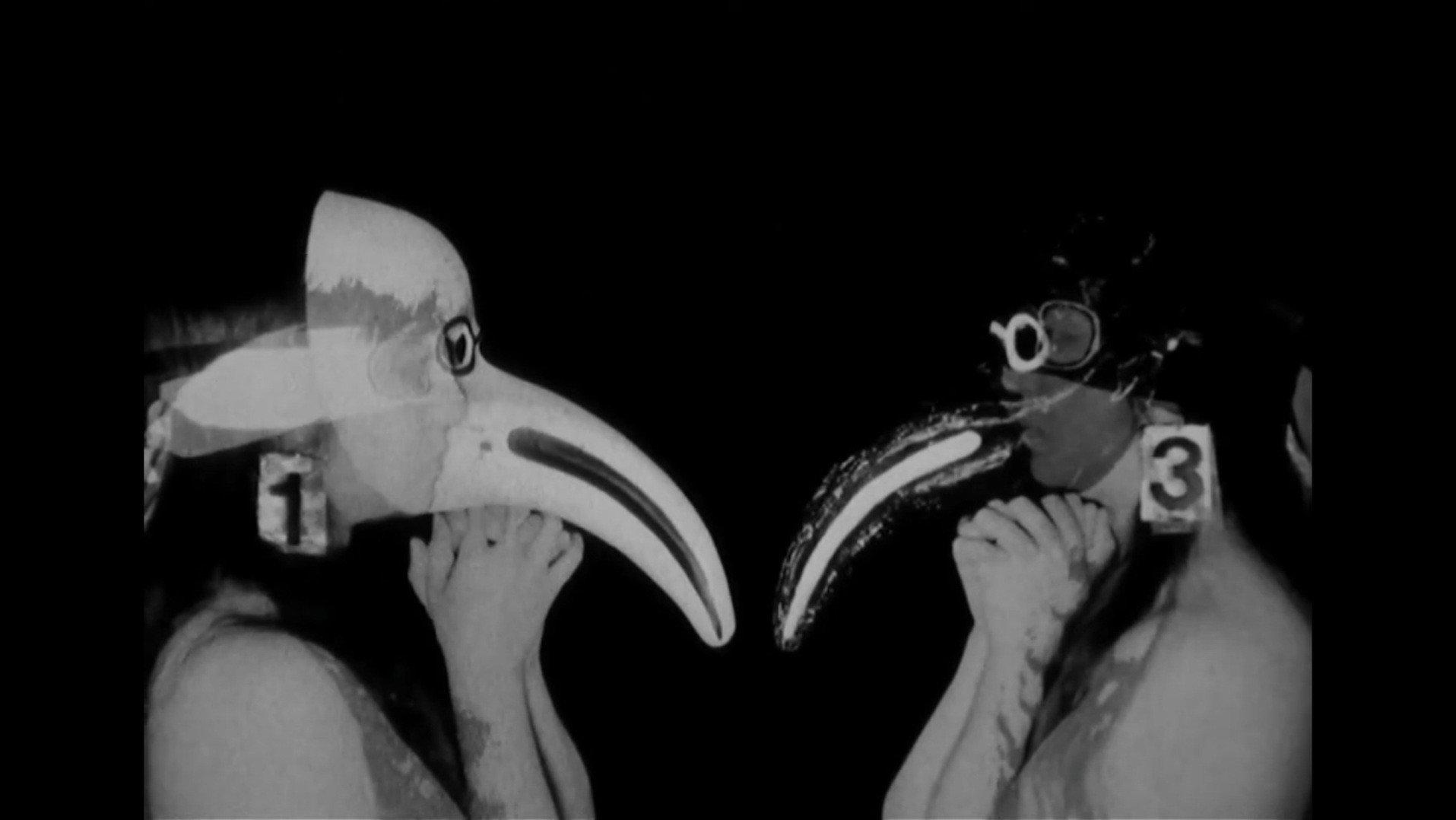 Schizophrenia 2016 movie scene