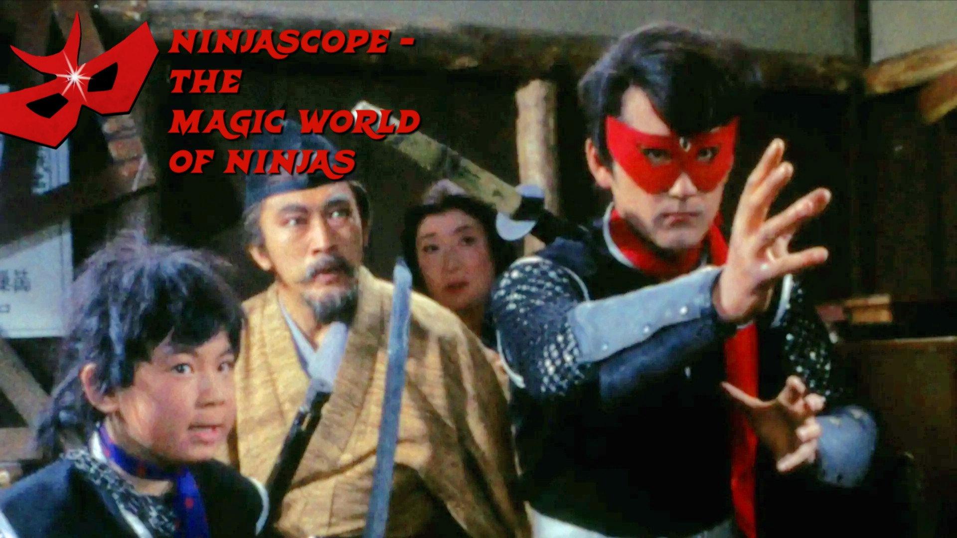 Ninjascope: The Magic World of Ninjas 1968 movie scene