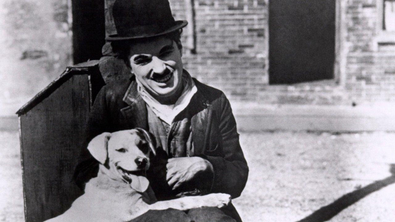 A Dog's Life 1918 movie scene