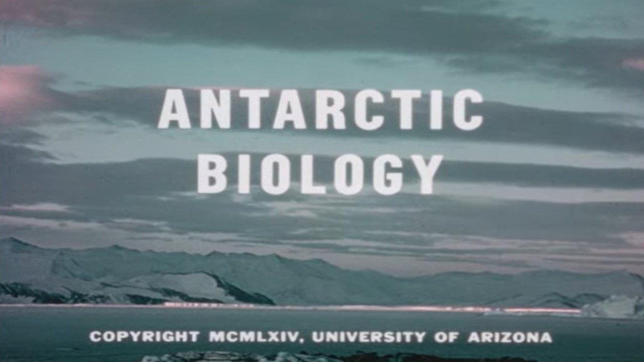 Antarctic Biology 1965 movie scene