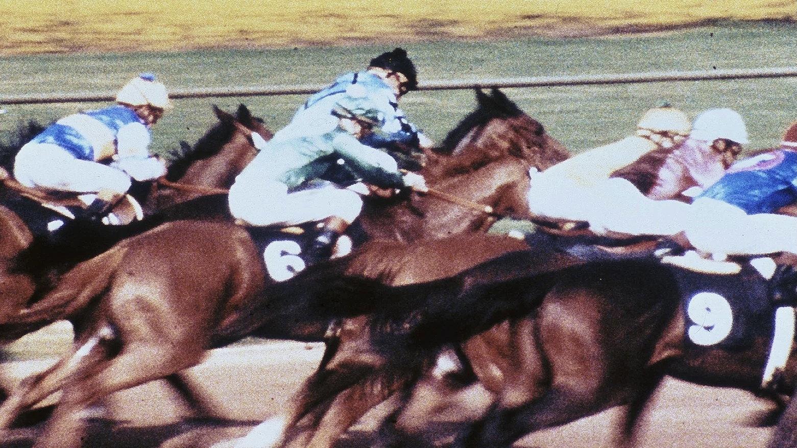 The Bluegrass Special 1977 movie scene