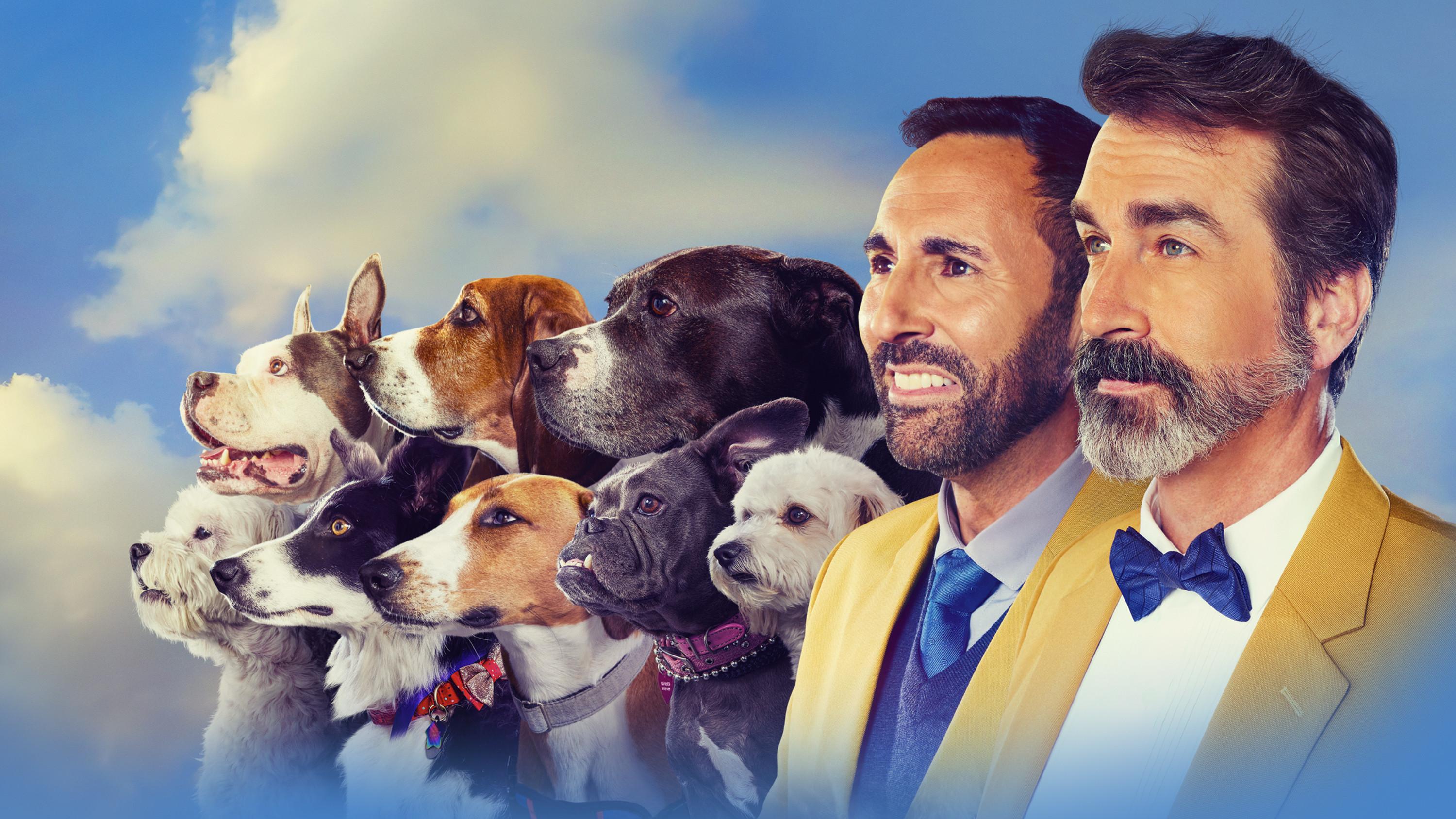 2022 American Rescue Dog Show 2022 movie scene