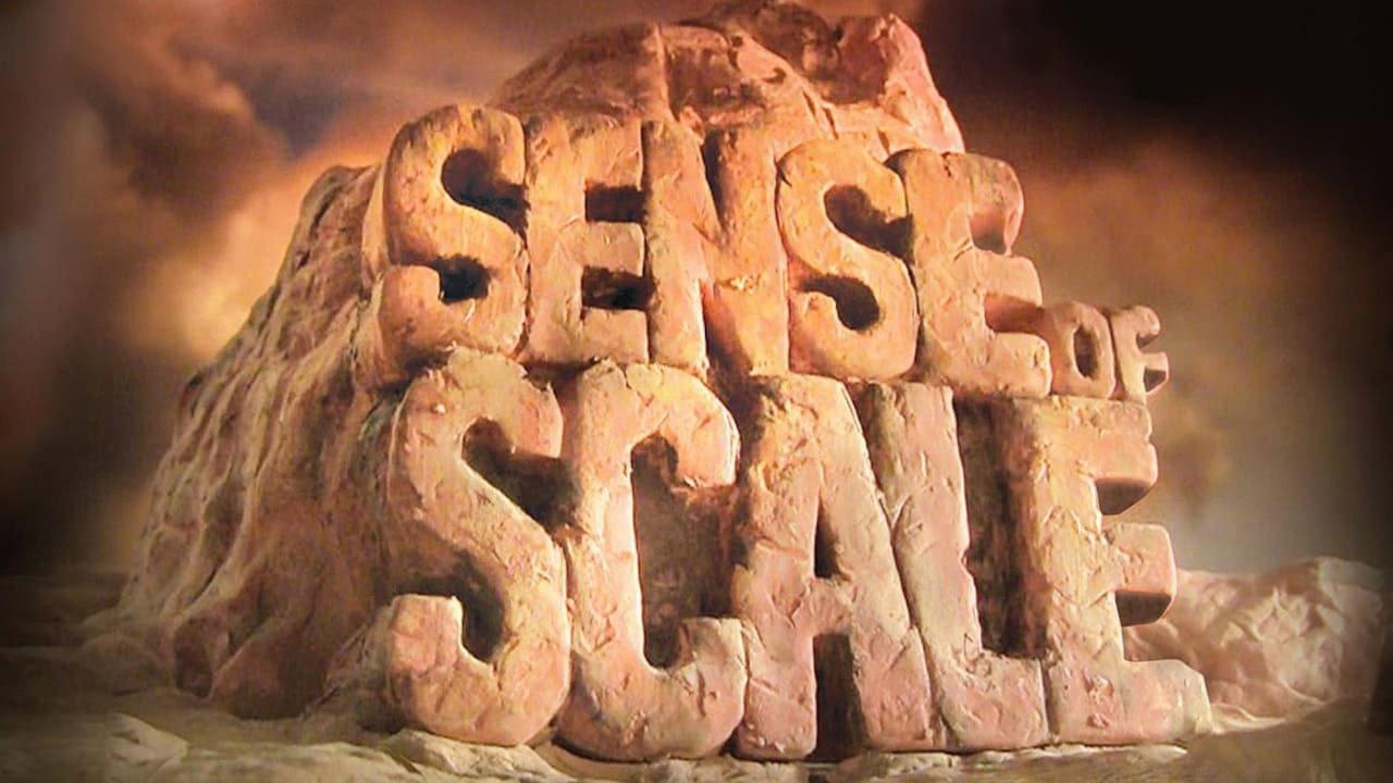 Sense of Scale 2012 movie scene