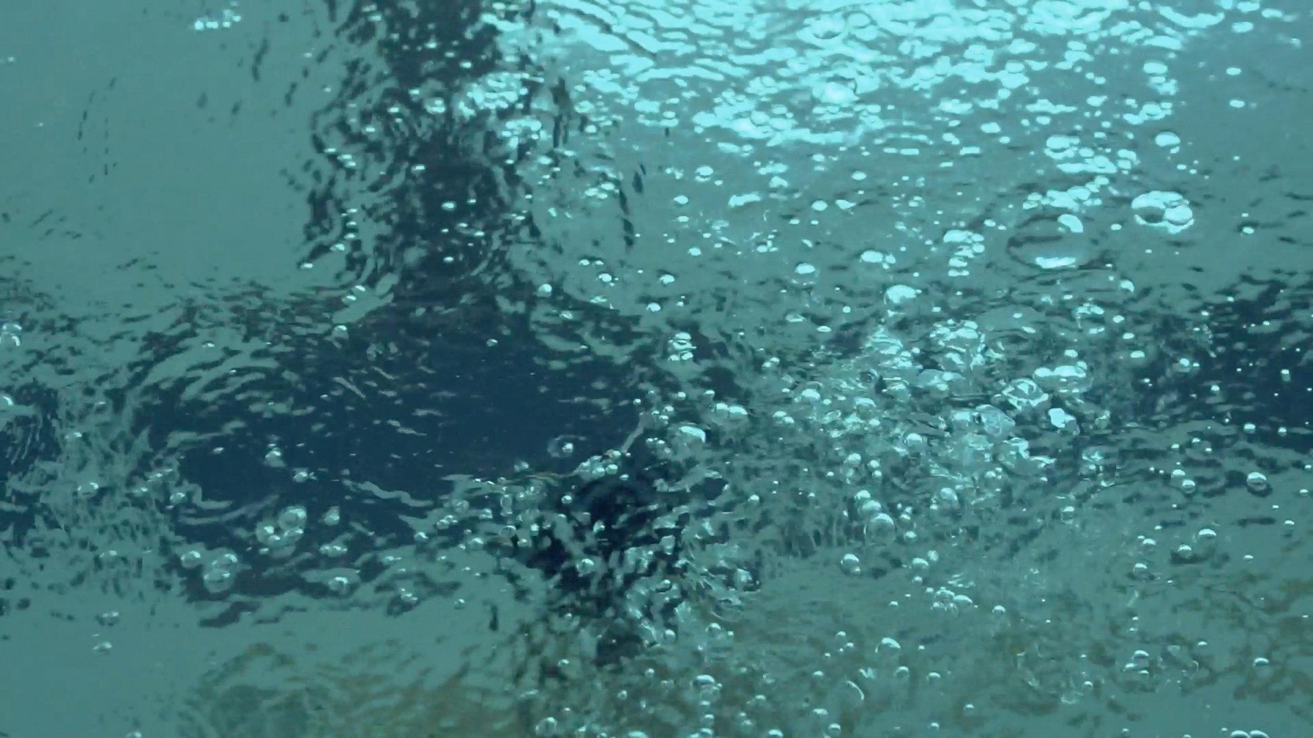 Swimming 2022 movie scene