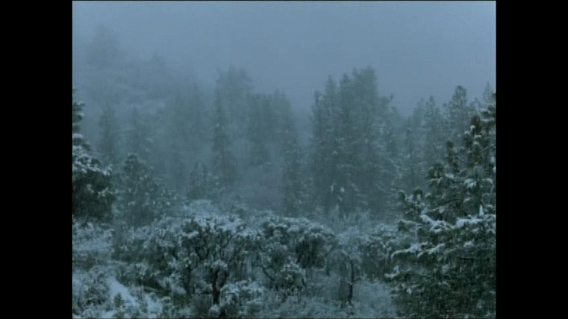 Pine Flat 2006 movie scene