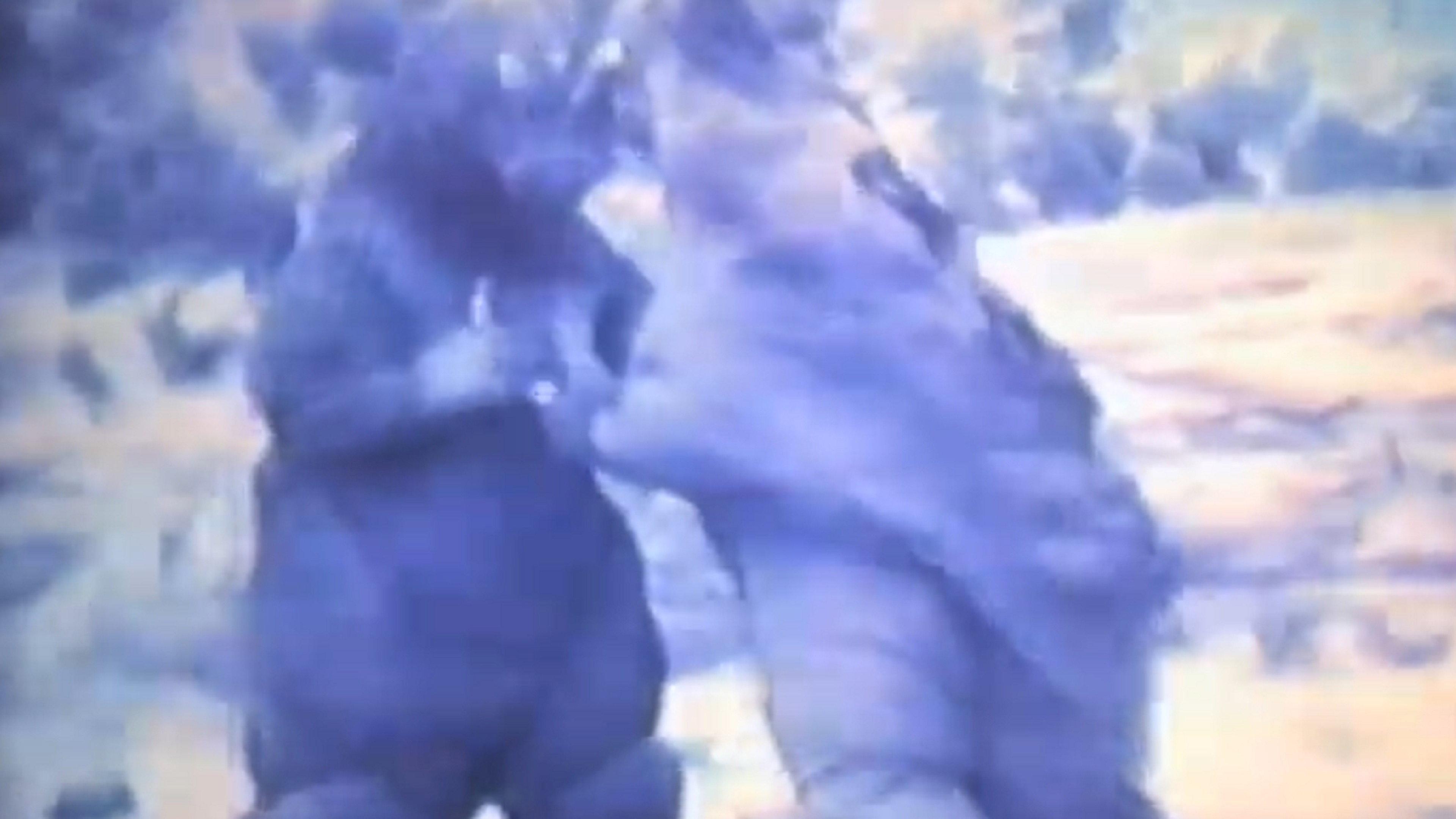 Godzilla vs. Underground Monster Pagos 1983 movie scene