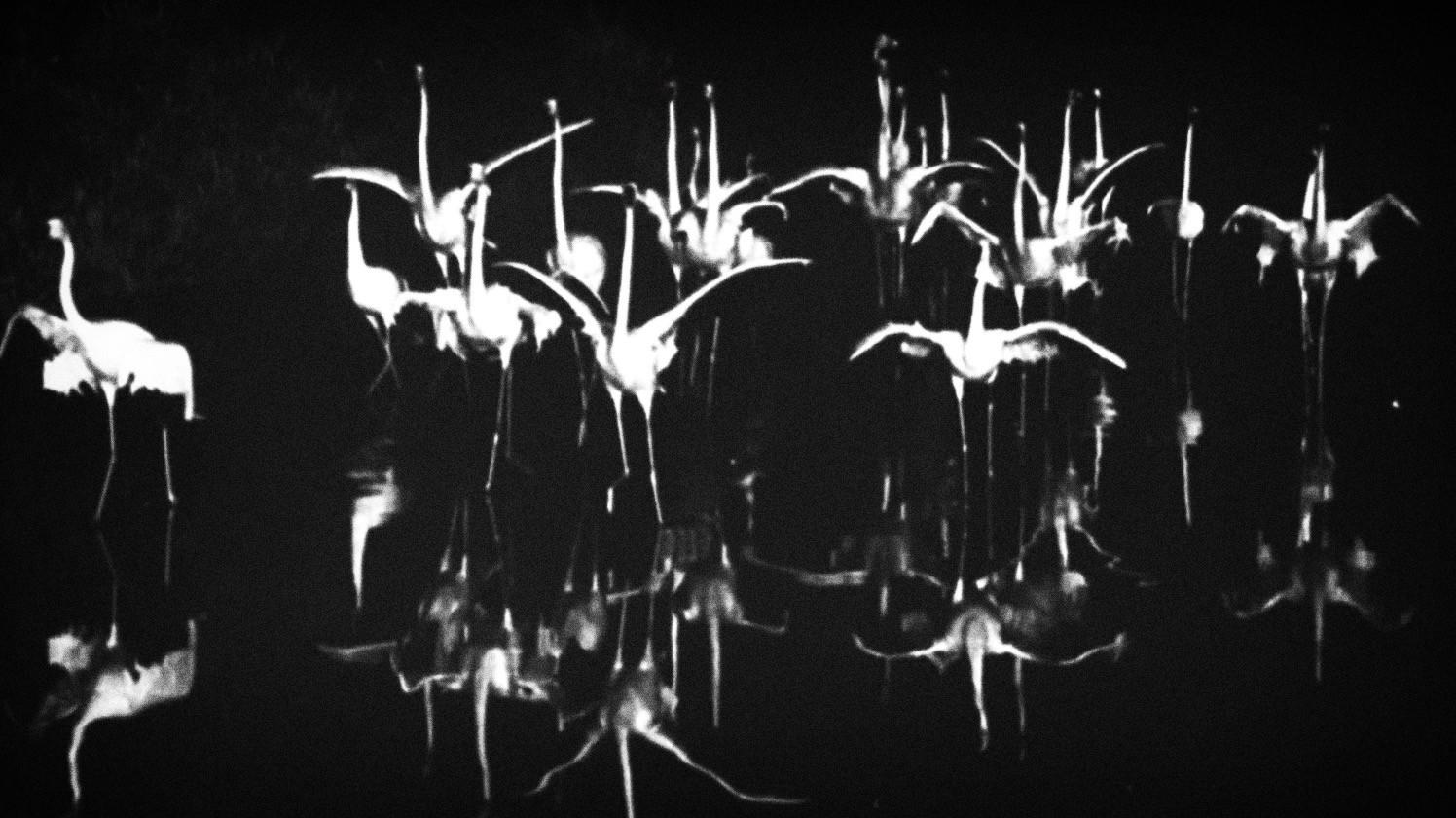 Meanders 1966 movie scene