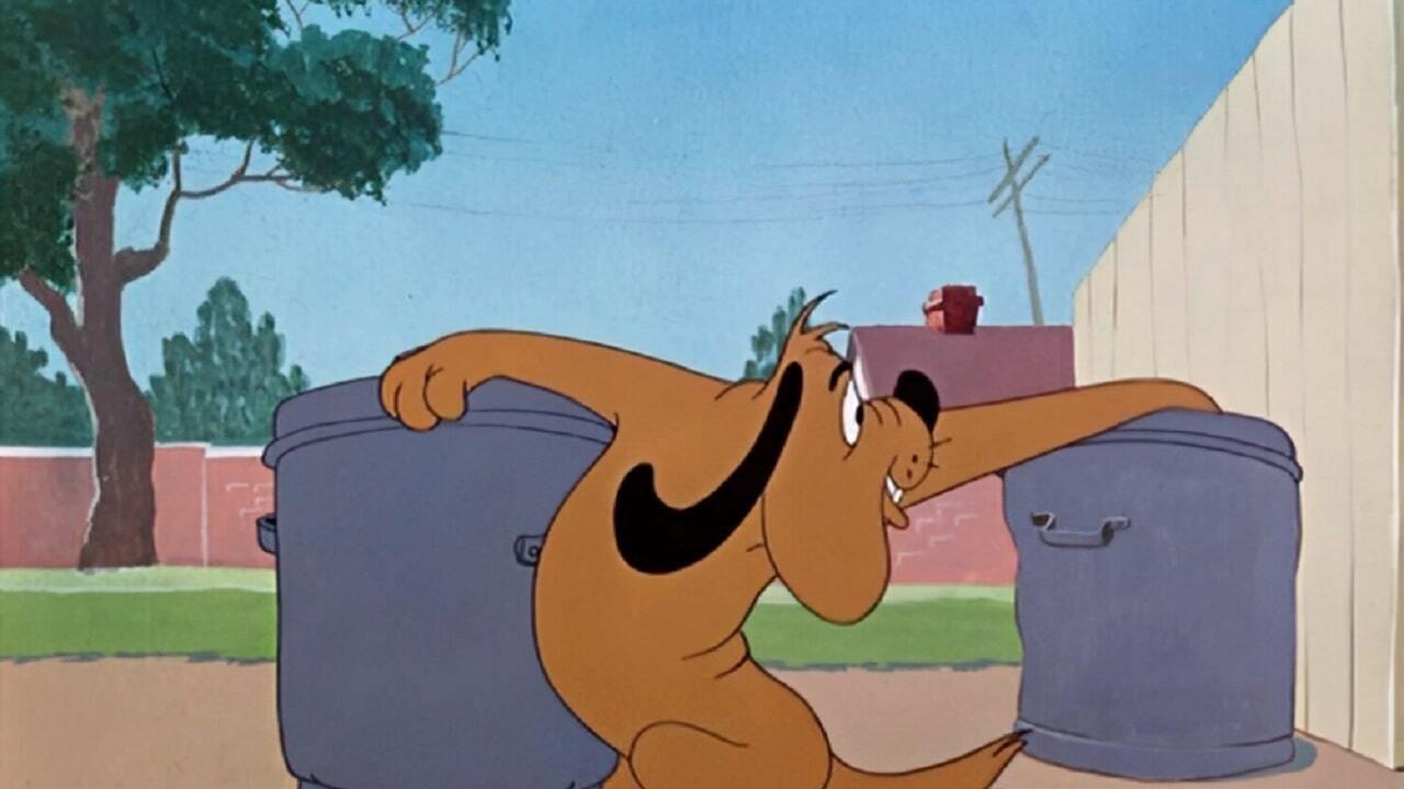 Doggone Cats 1947 movie scene