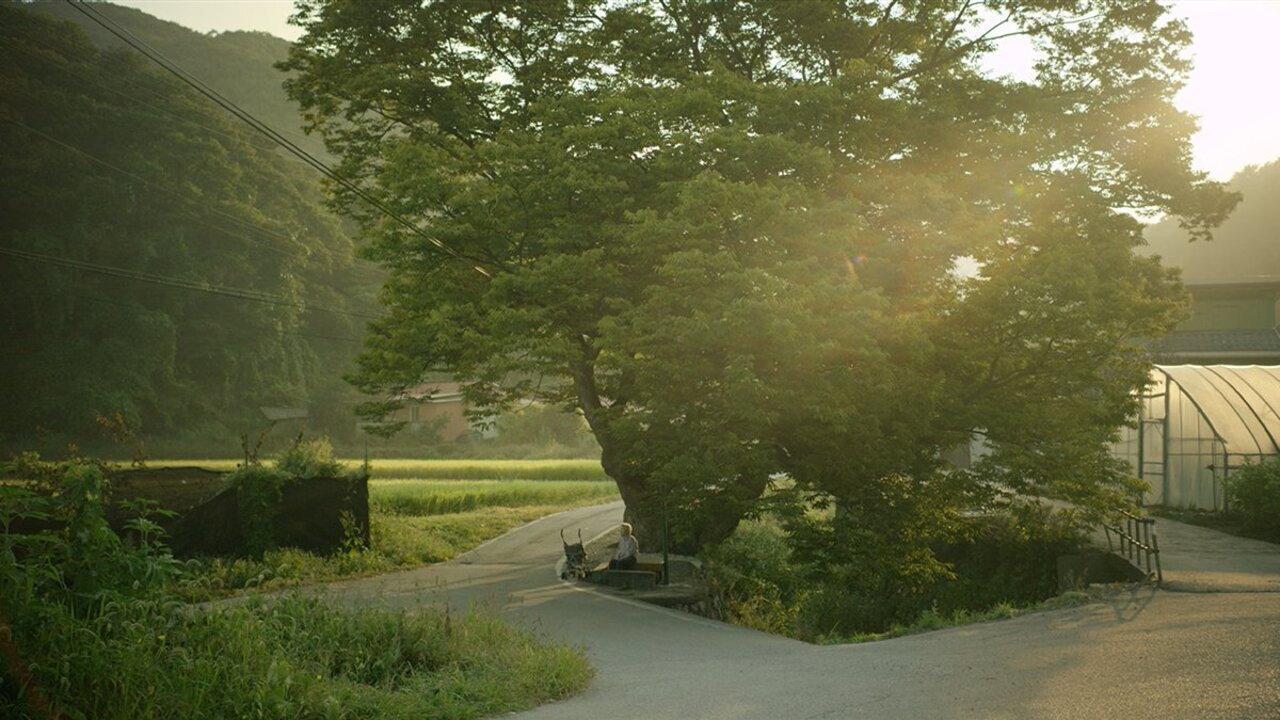 Summer Sounds 2018 movie scene