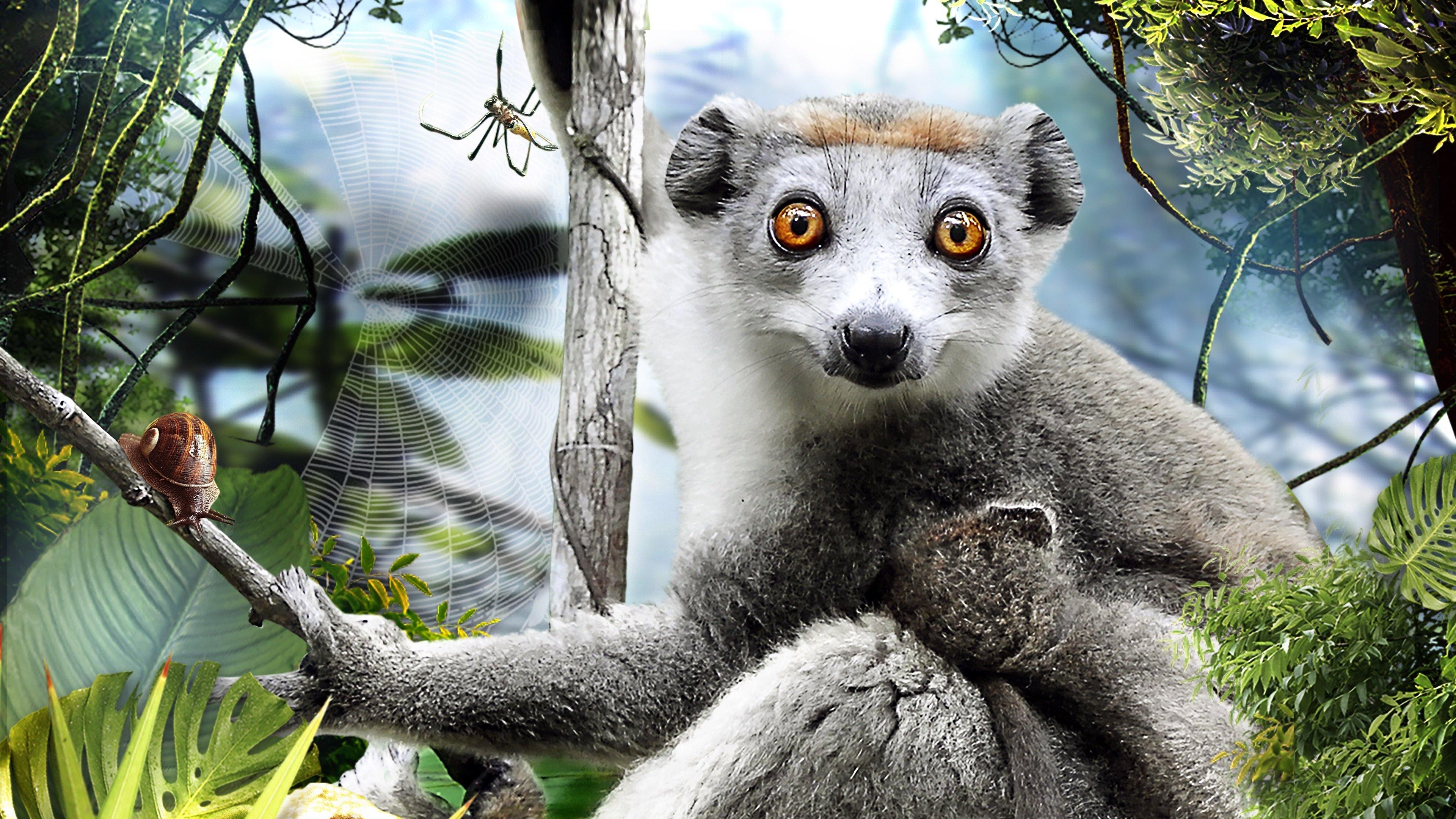 Madagascar 3D 2013 movie scene