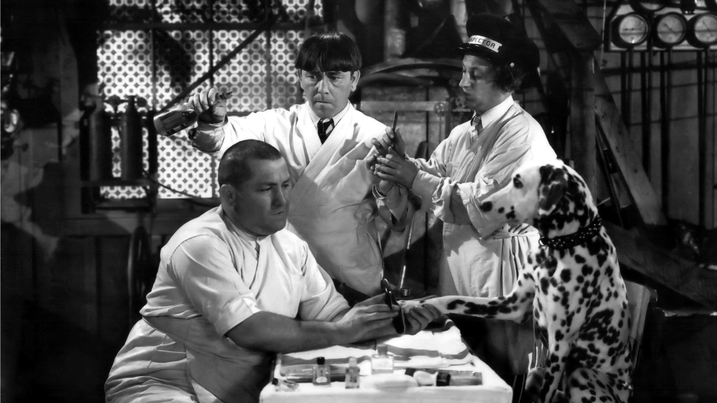 Mutts to You 1938 movie scene