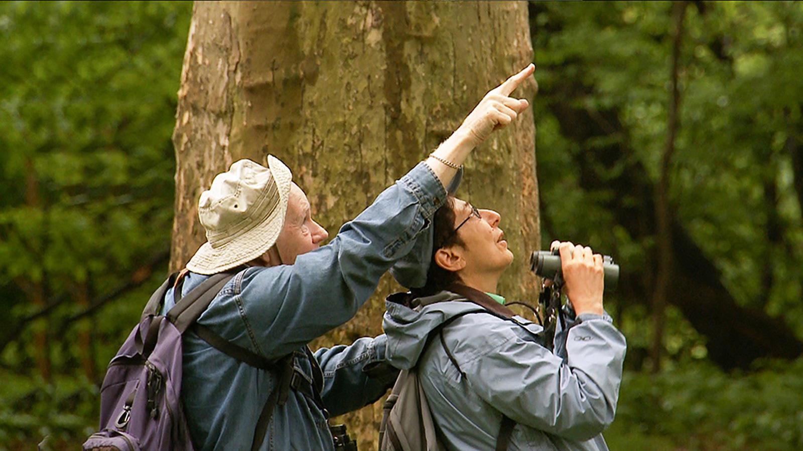 Birders: The Central Park Effect 2012 movie scene