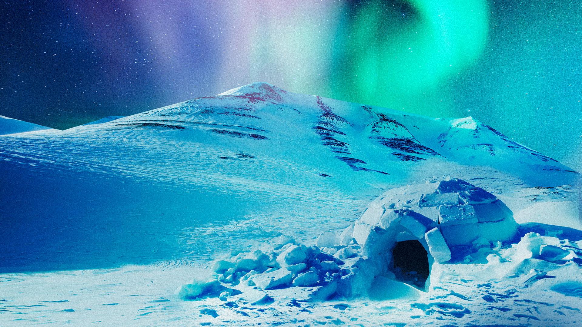 The Last Igloo 2019 movie scene