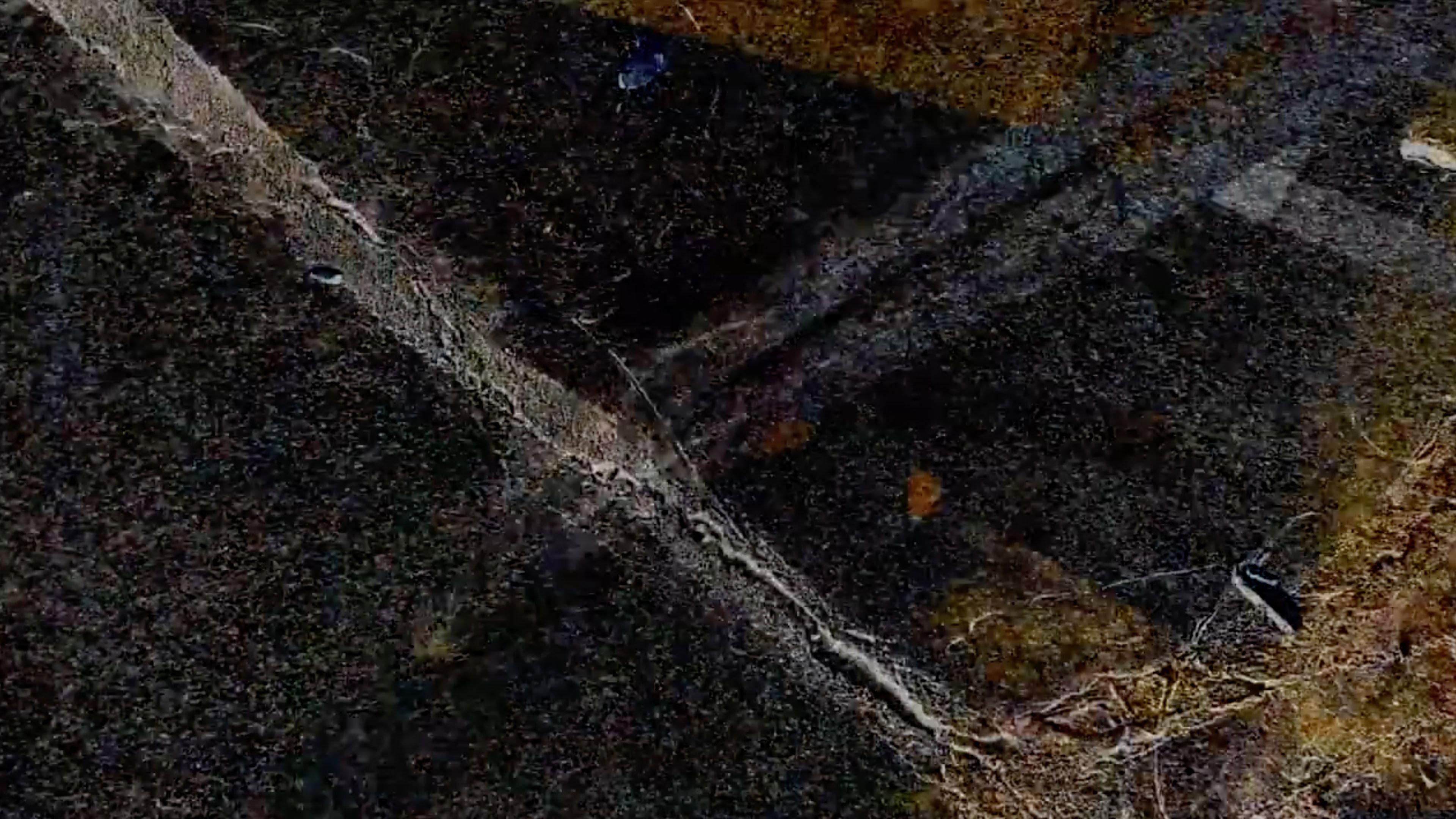 Introduction to Crack Sealing 3 2023 movie scene
