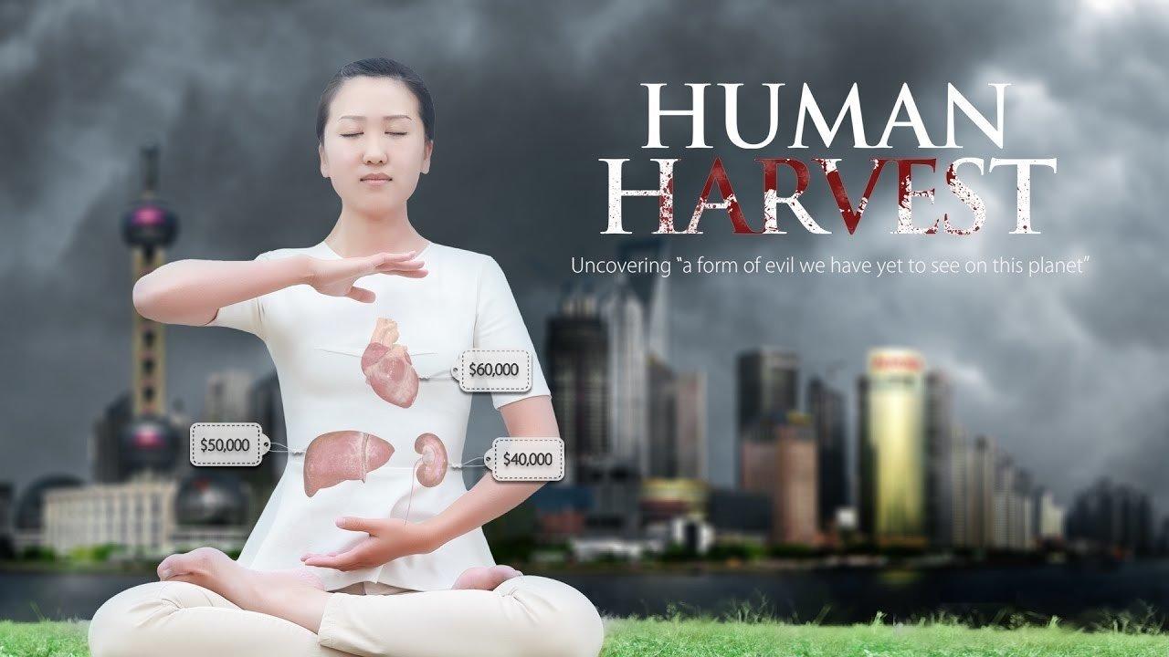 Human Harvest 2015 movie scene