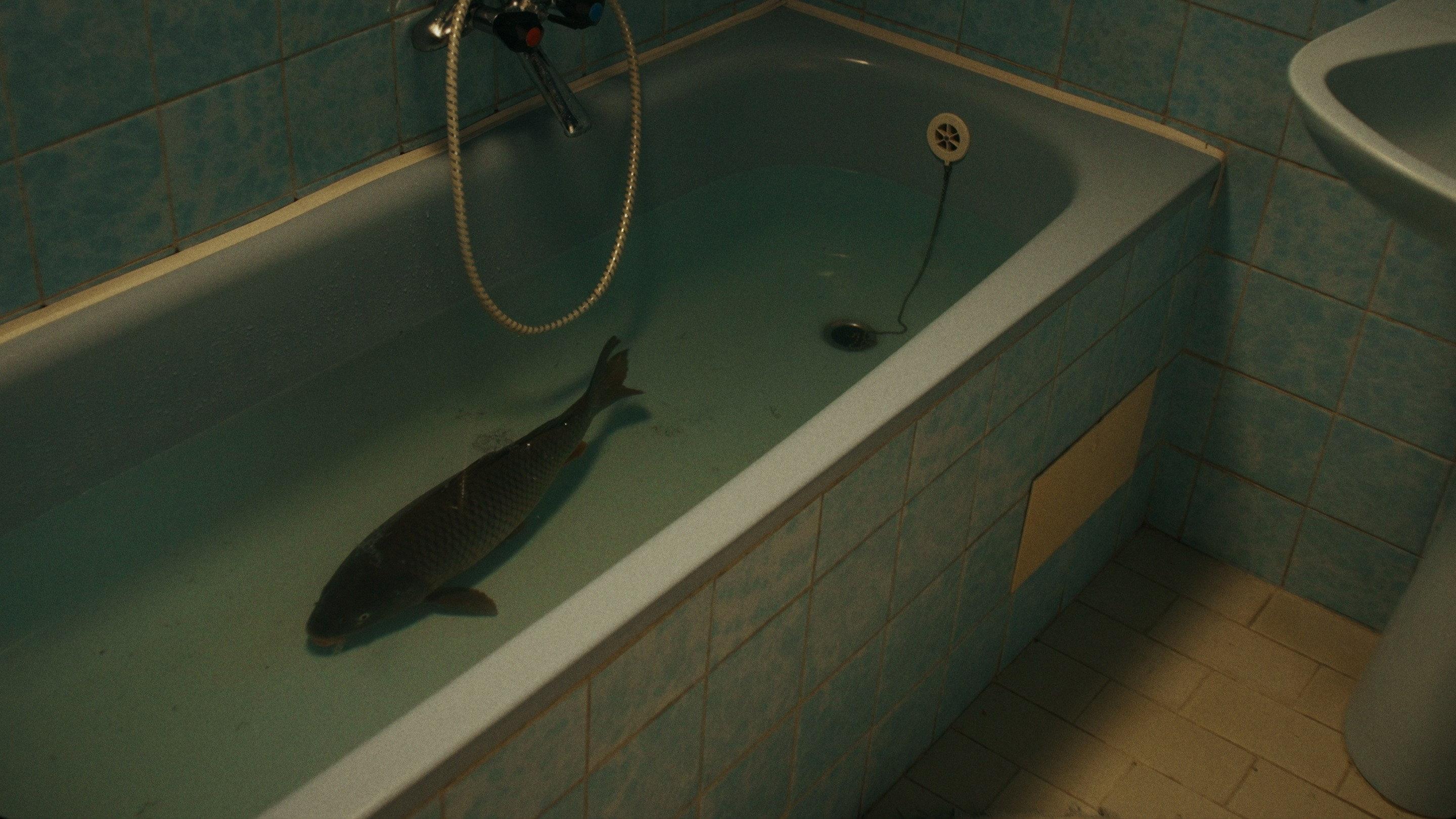 The Carp 2025 movie scene