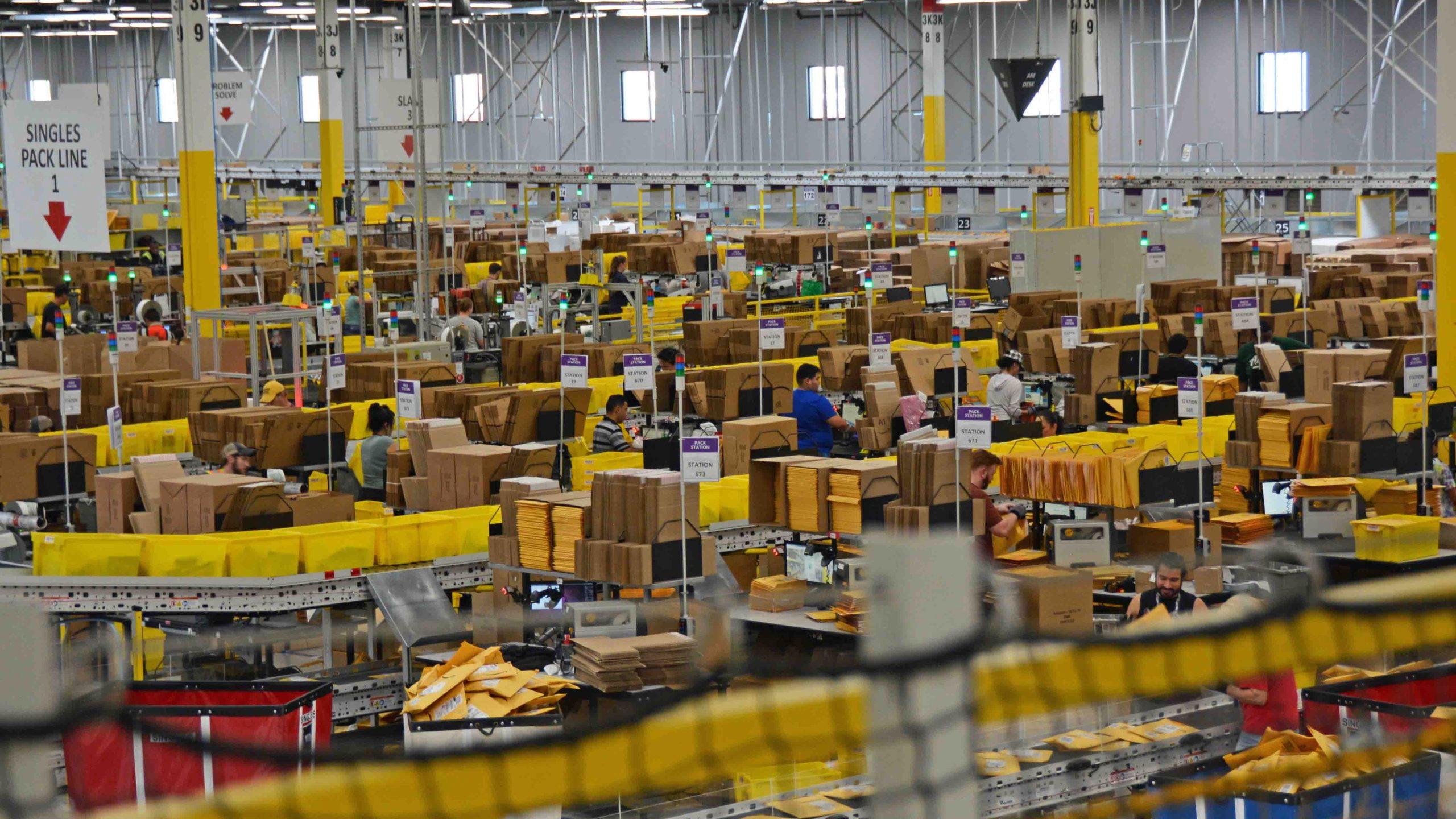 The World According to Amazon 2019 movie scene