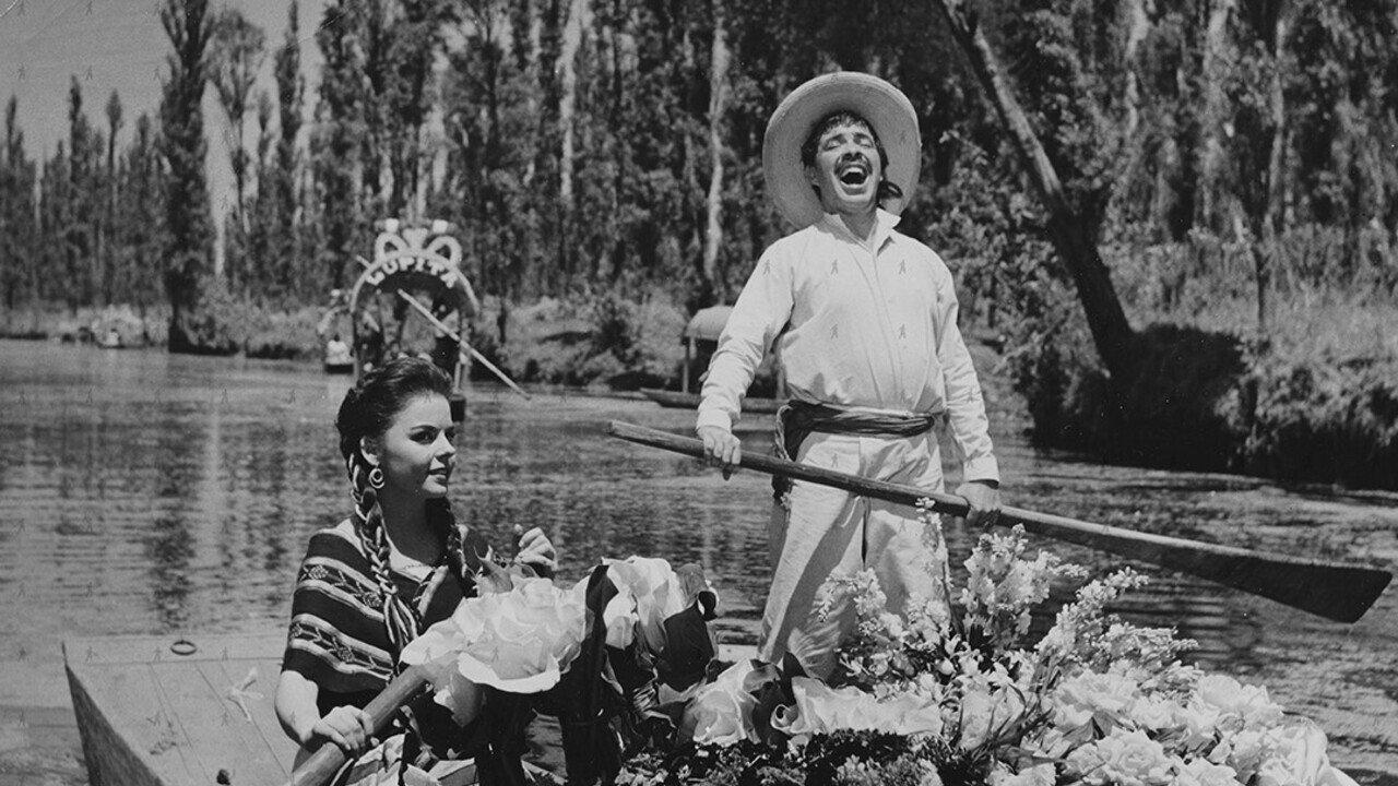 El Violetero 1960 movie scene