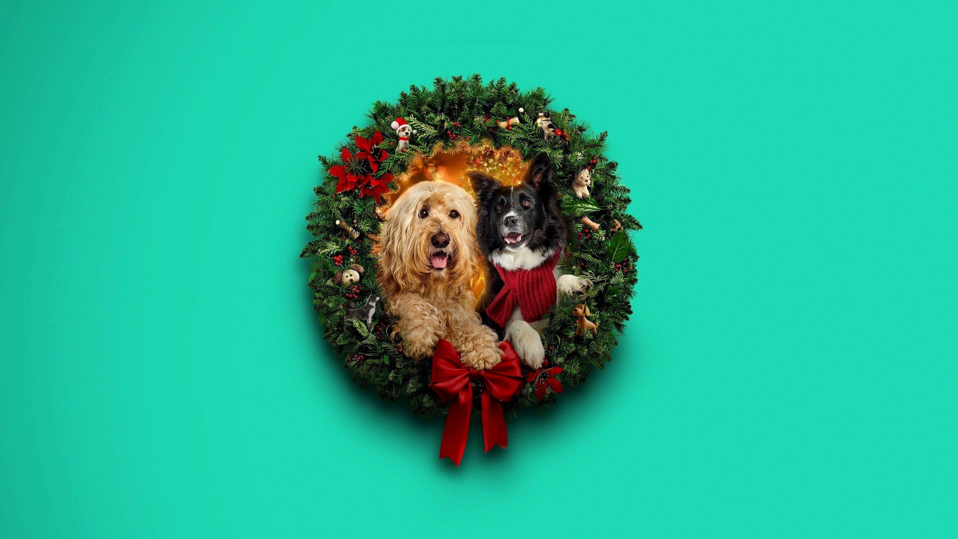Happy Howlidays 2024 movie scene