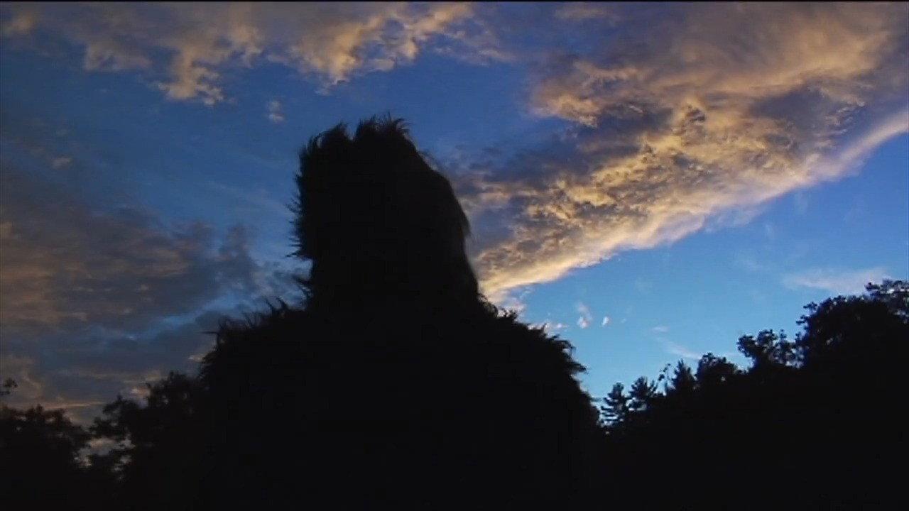The Bigfoot Diaries 2015 movie scene
