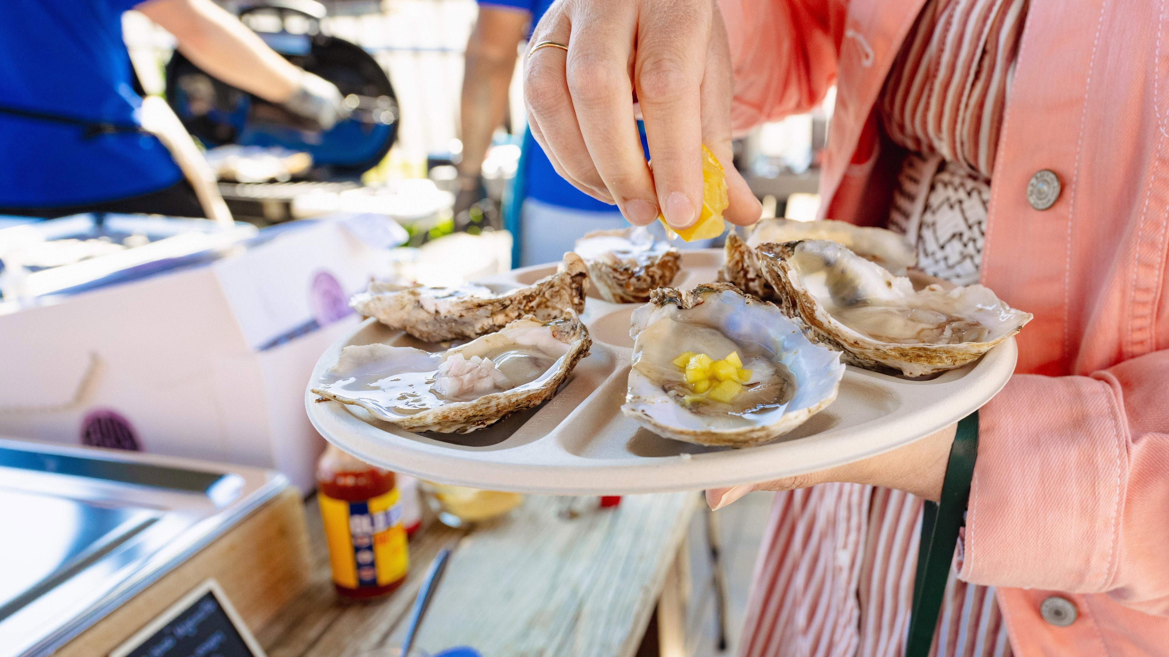 Waterman's Heritage - Oysters in St. Mary's County 2026 movie scene