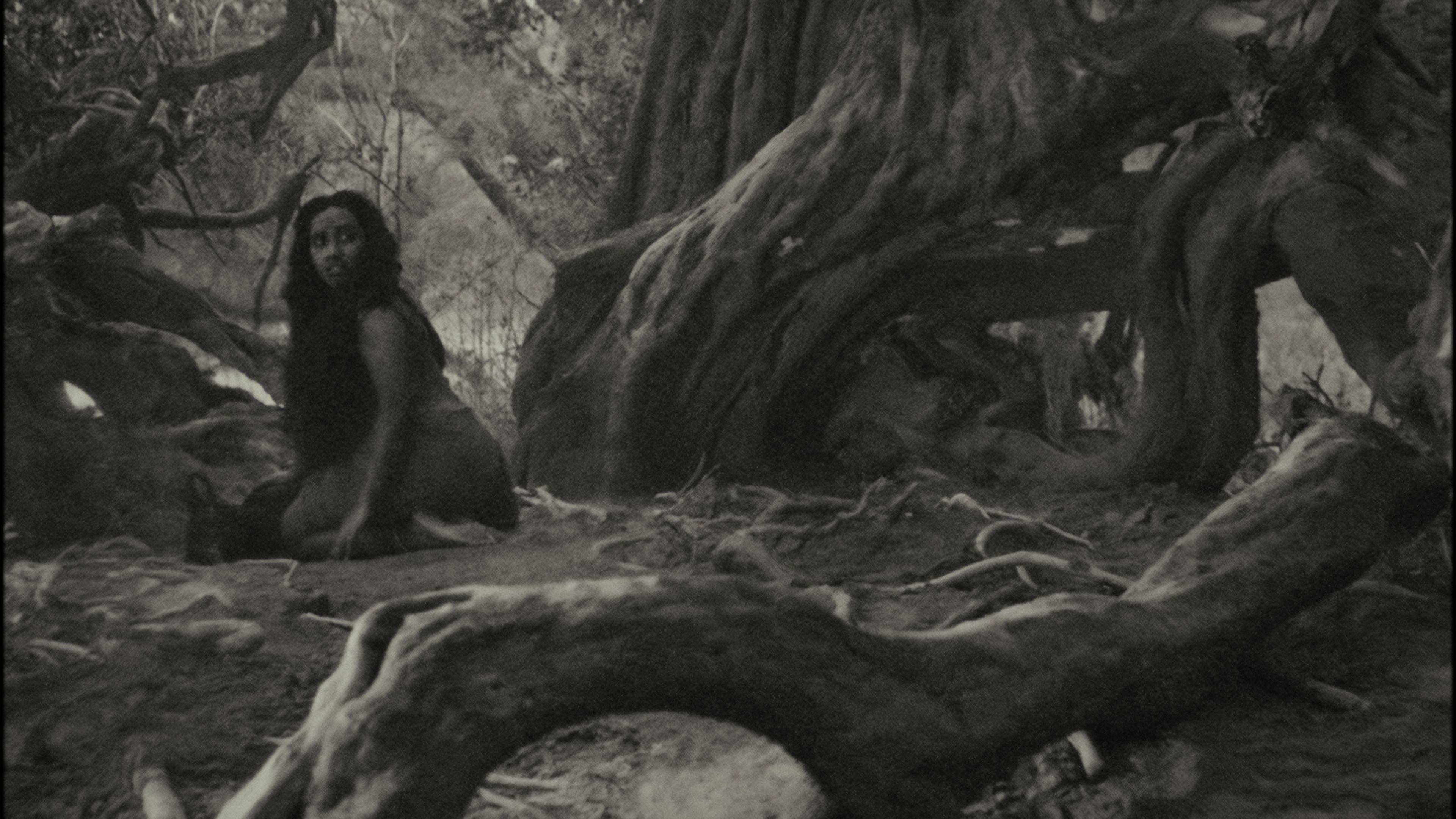The Lost Calf  movie scene
