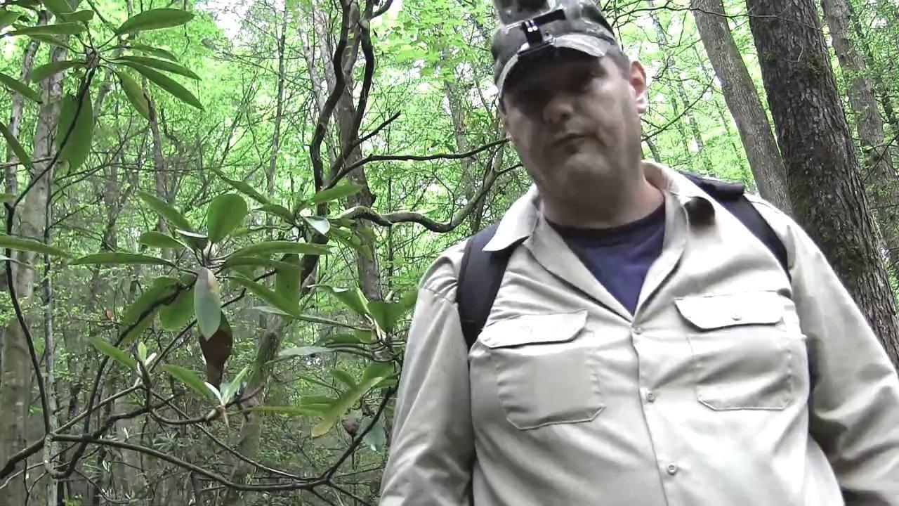 Bigfoot  Still Tracking a Legend 2015 movie scene
