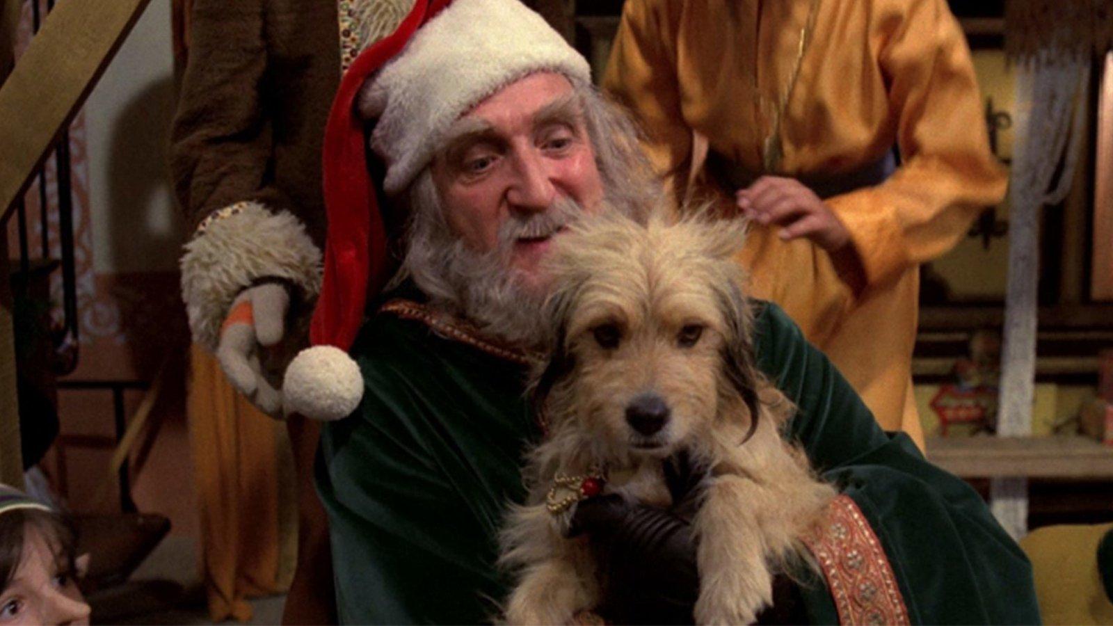 Benji's Very Own Christmas Story 1978 movie scene