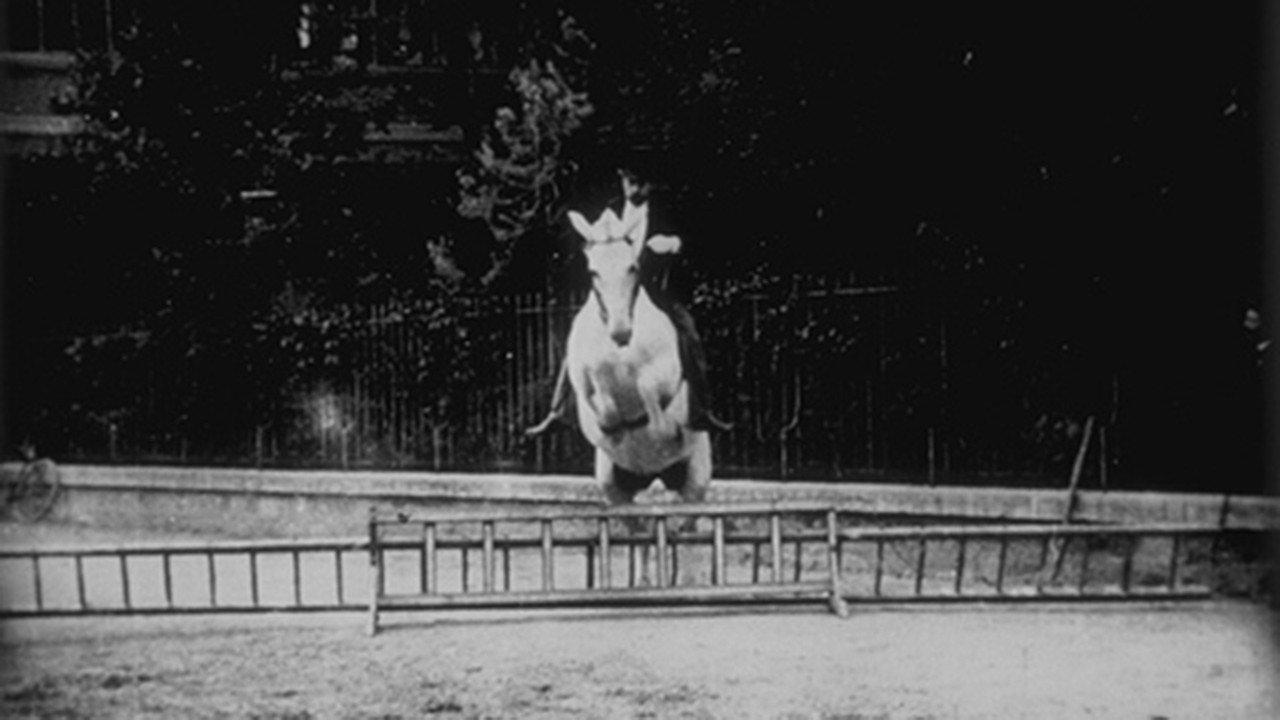Cheval sauteur 1897 movie scene