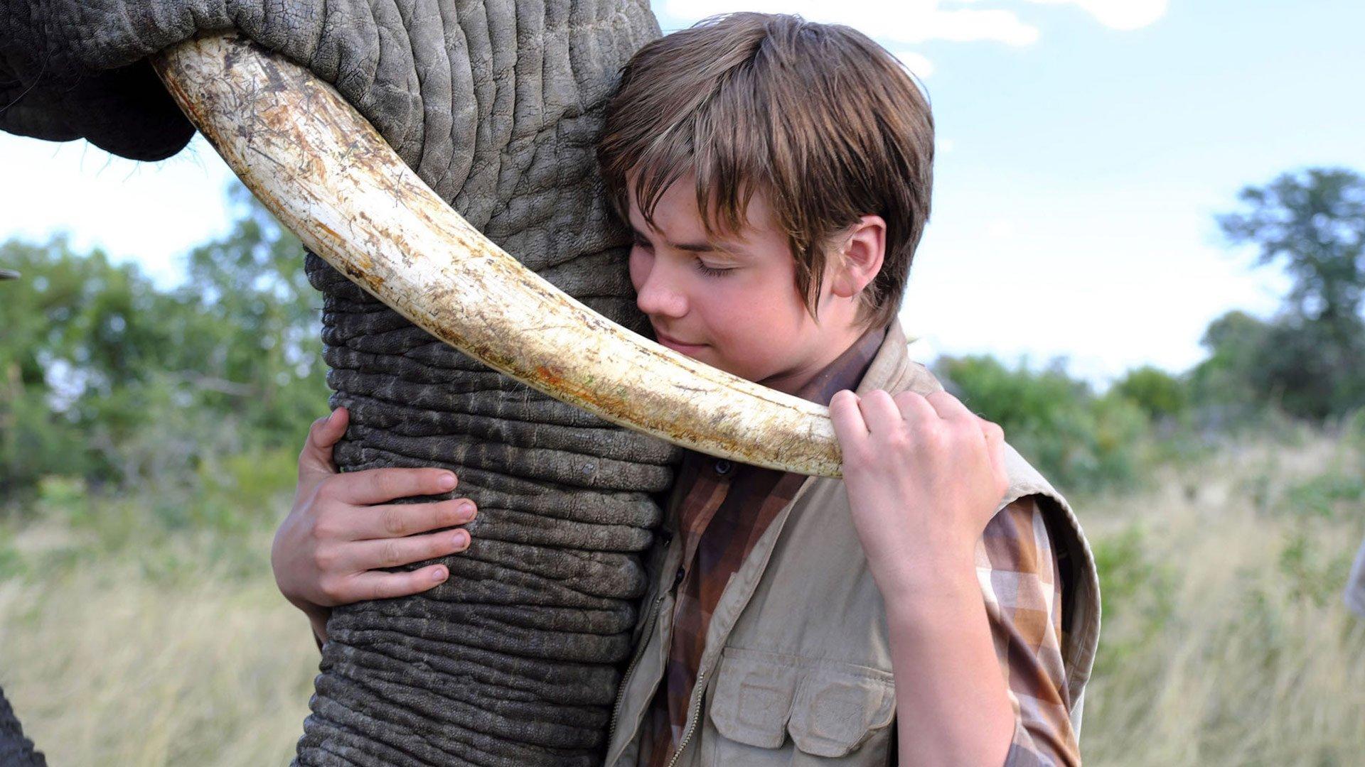 An Elephant's Journey 2018 movie scene