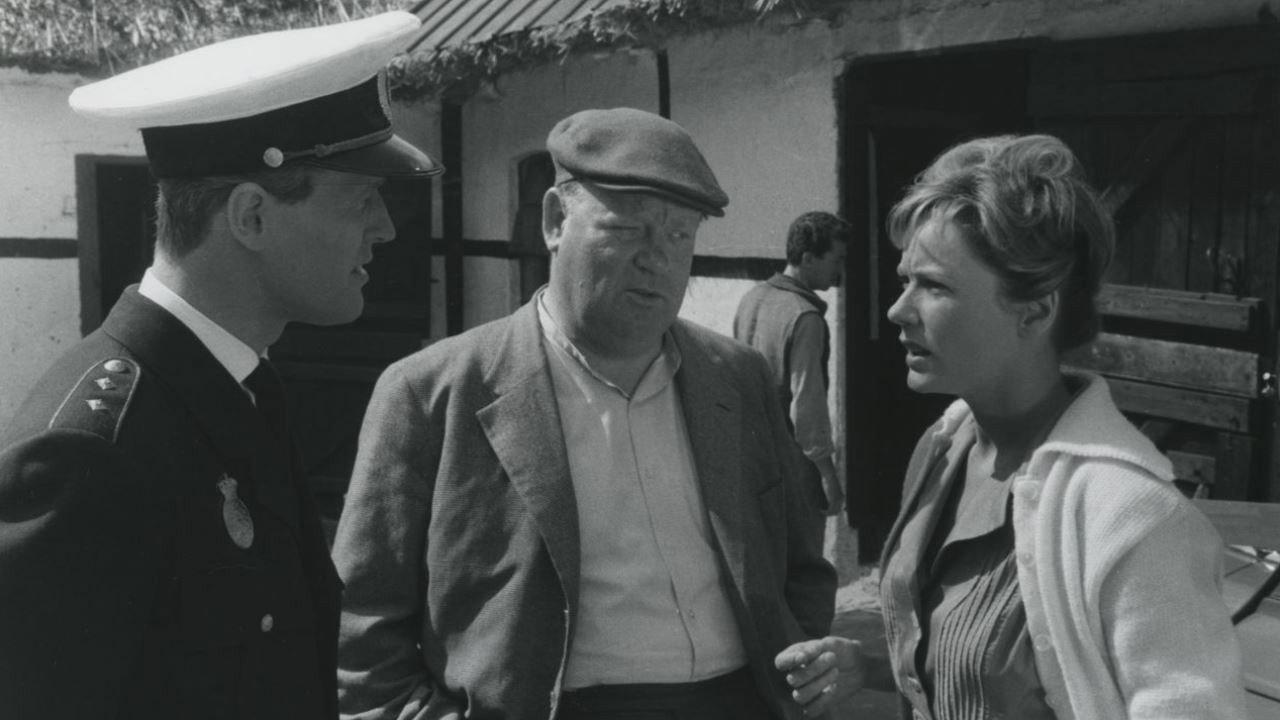 The Boy Who Loved Horses 1961 movie scene