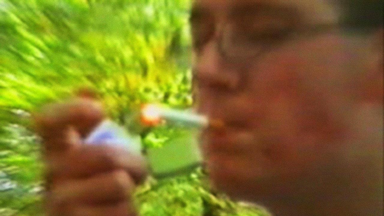 The Wood of No Return 1999 movie scene