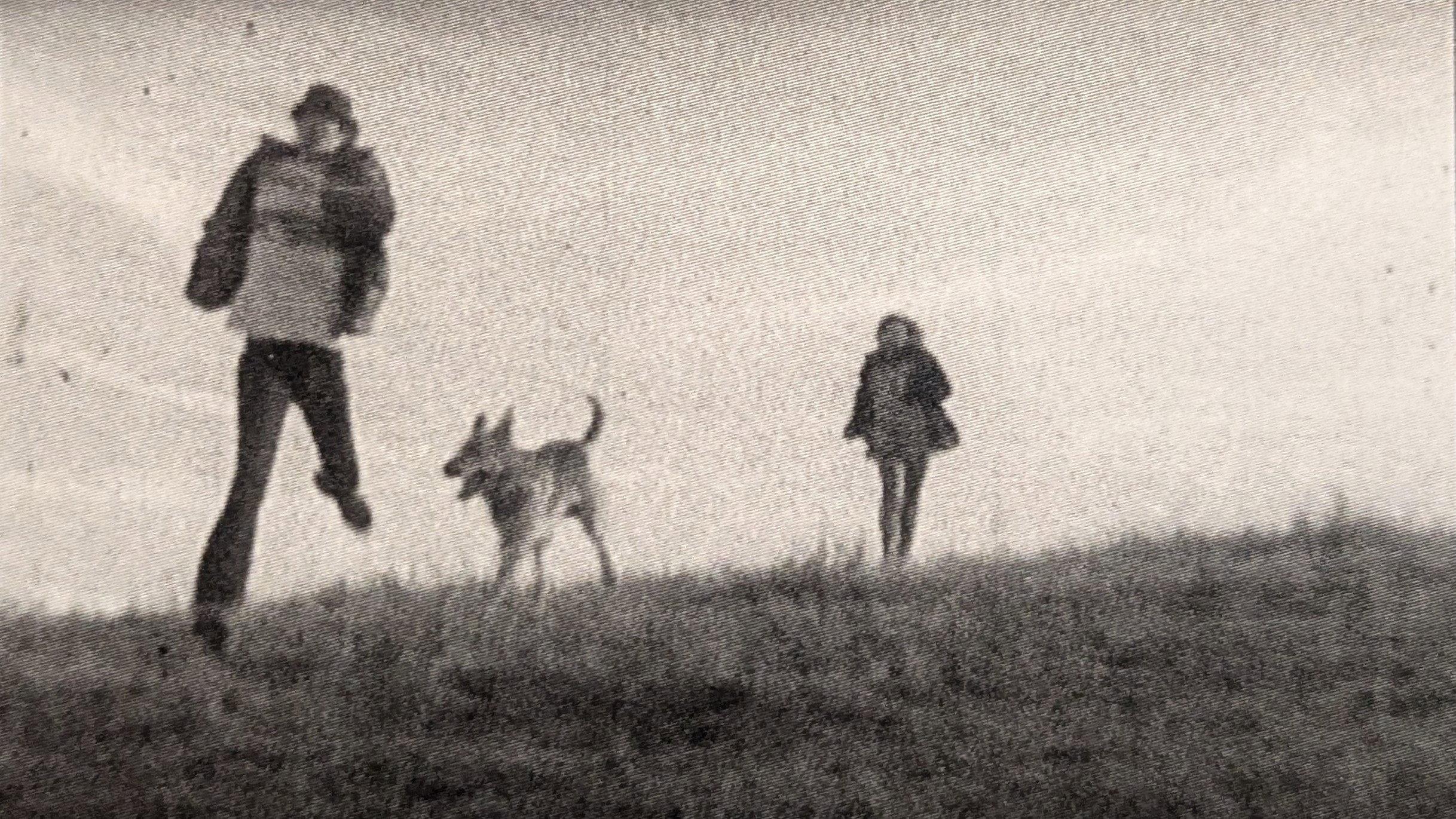 The Secret of Sleep 1970 movie scene