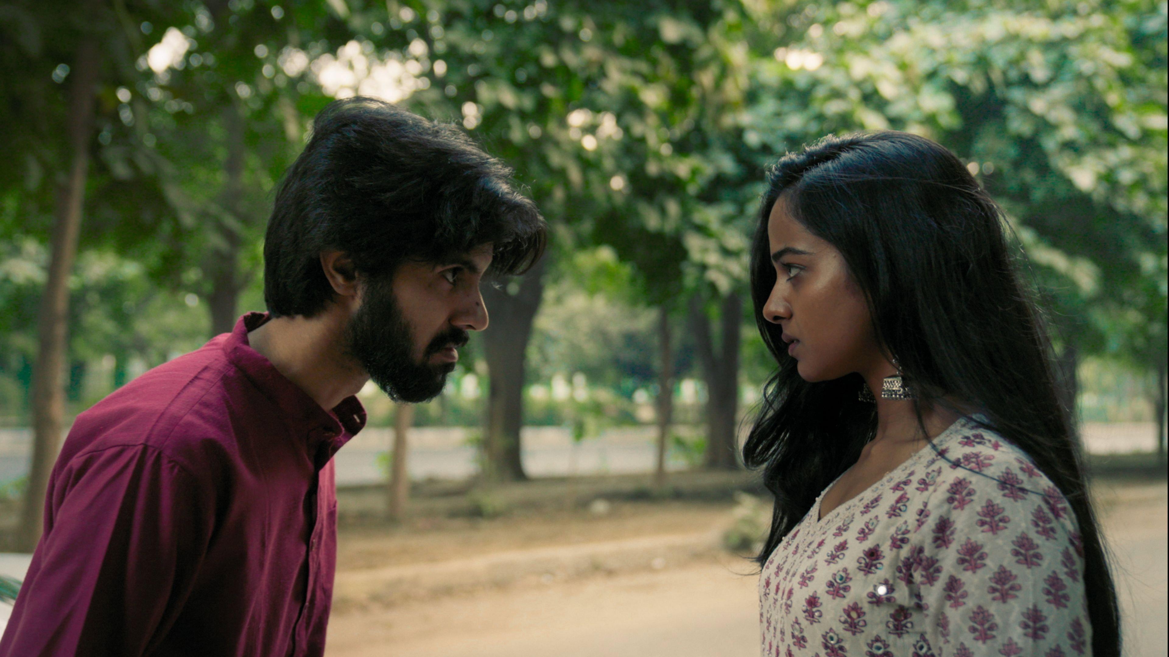 In the Chaos of Diwali 2026 movie scene