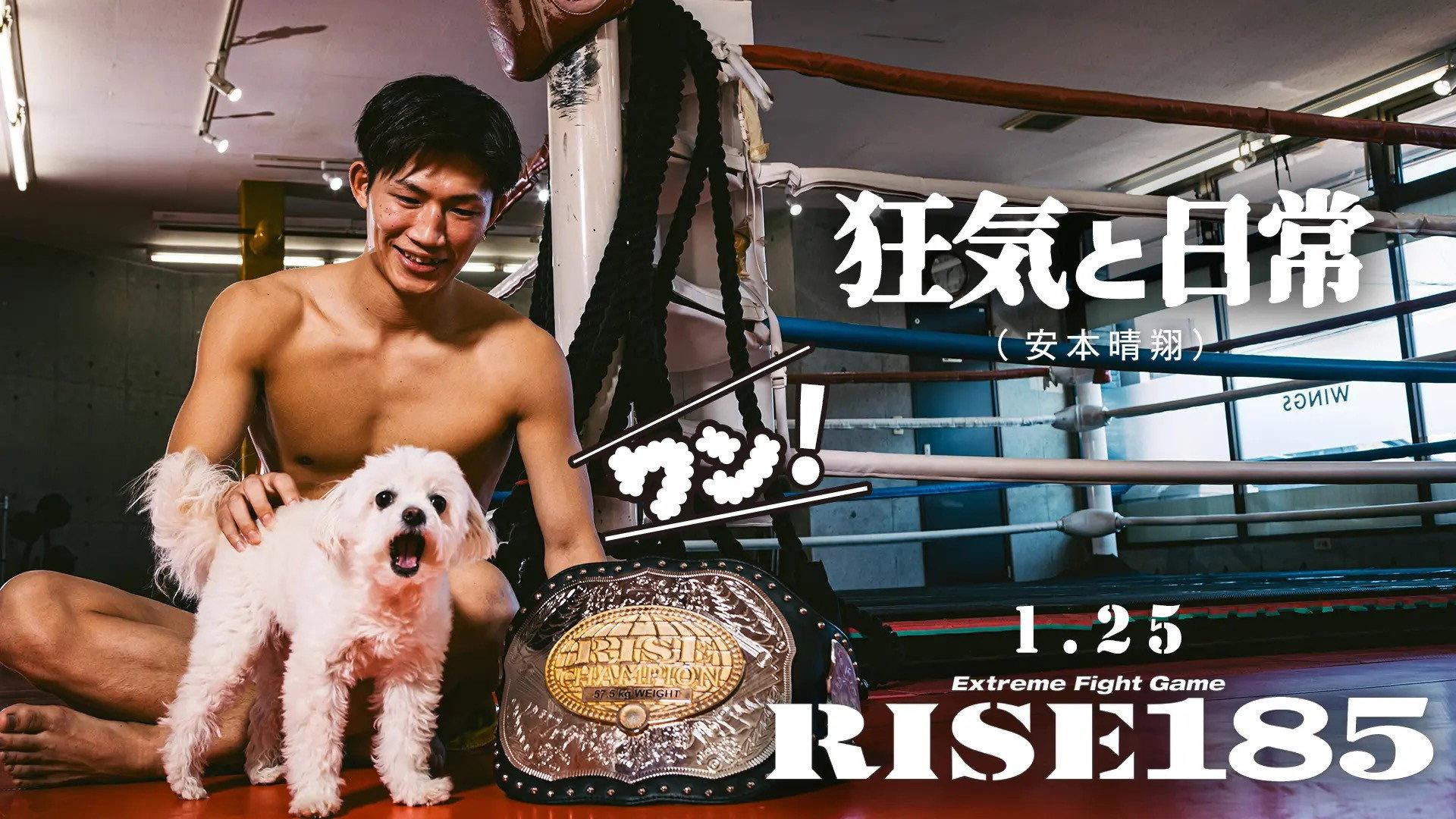 RISE 185 2025 movie scene