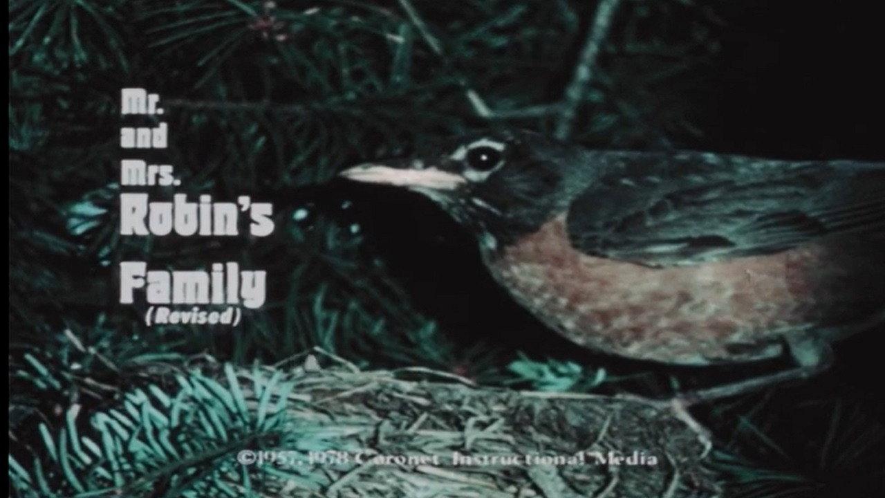 Mr. and Mrs. Robin's Family (Revised) 1978 movie scene