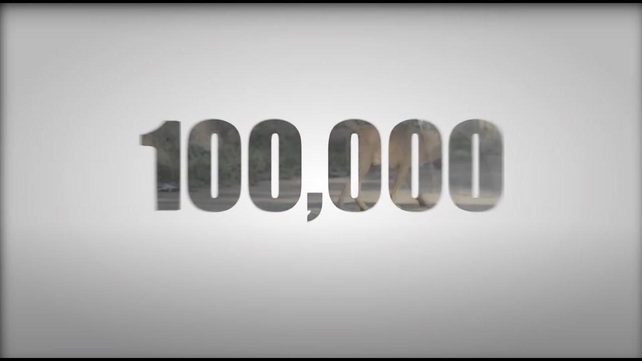 100,000 2010 movie scene