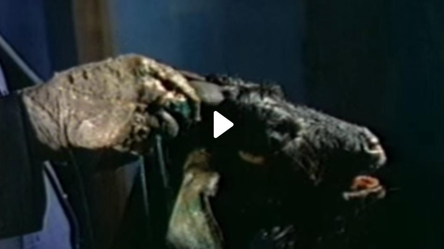 Ritual of Death 1990 movie scene