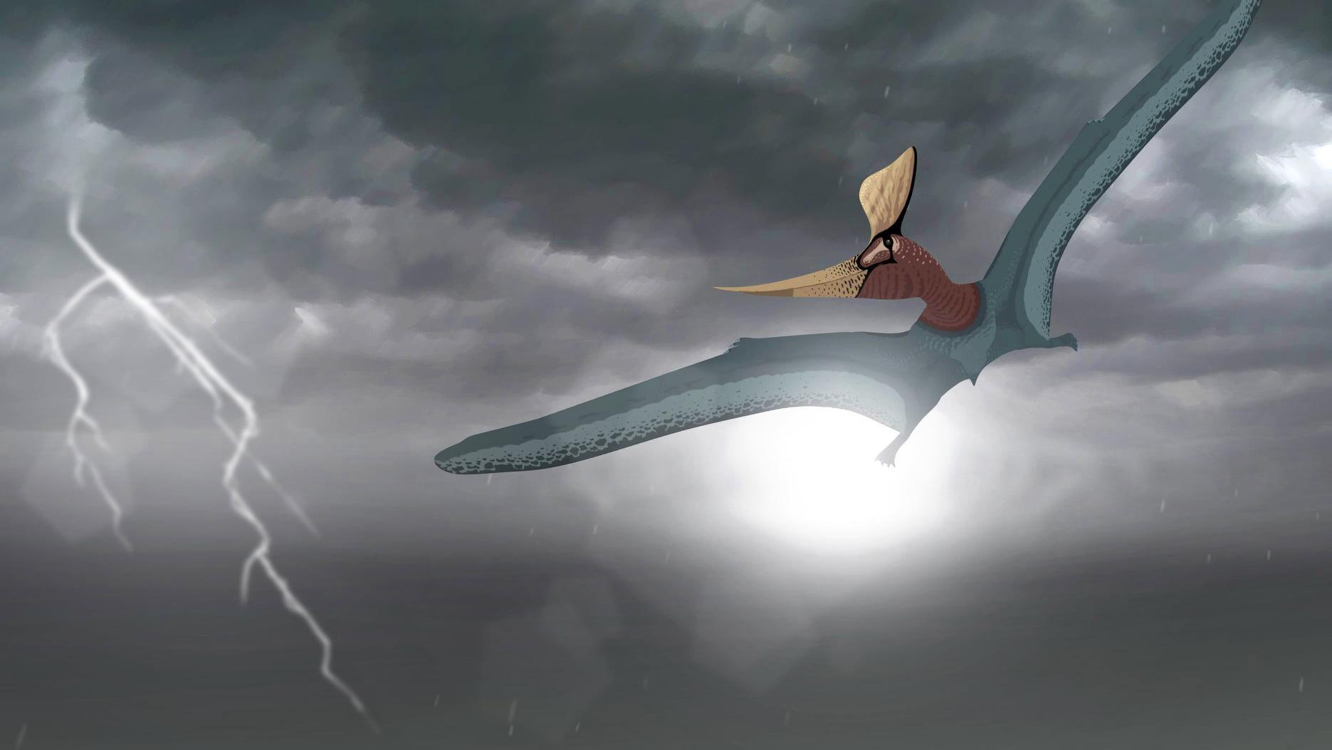 Sea and Sky 2022 movie scene