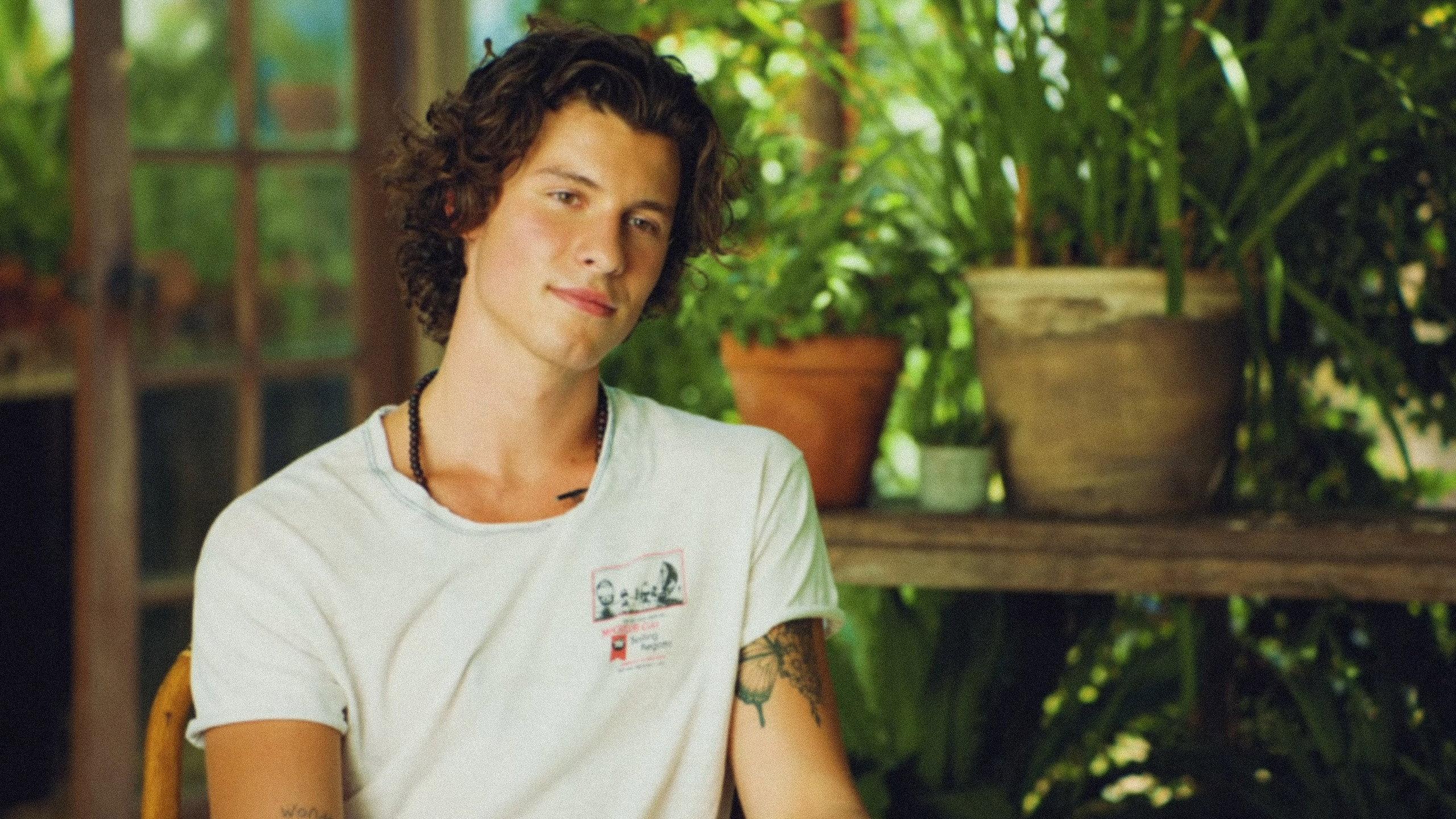 Shawn Mendes: The Wonder Interview 2020 movie scene