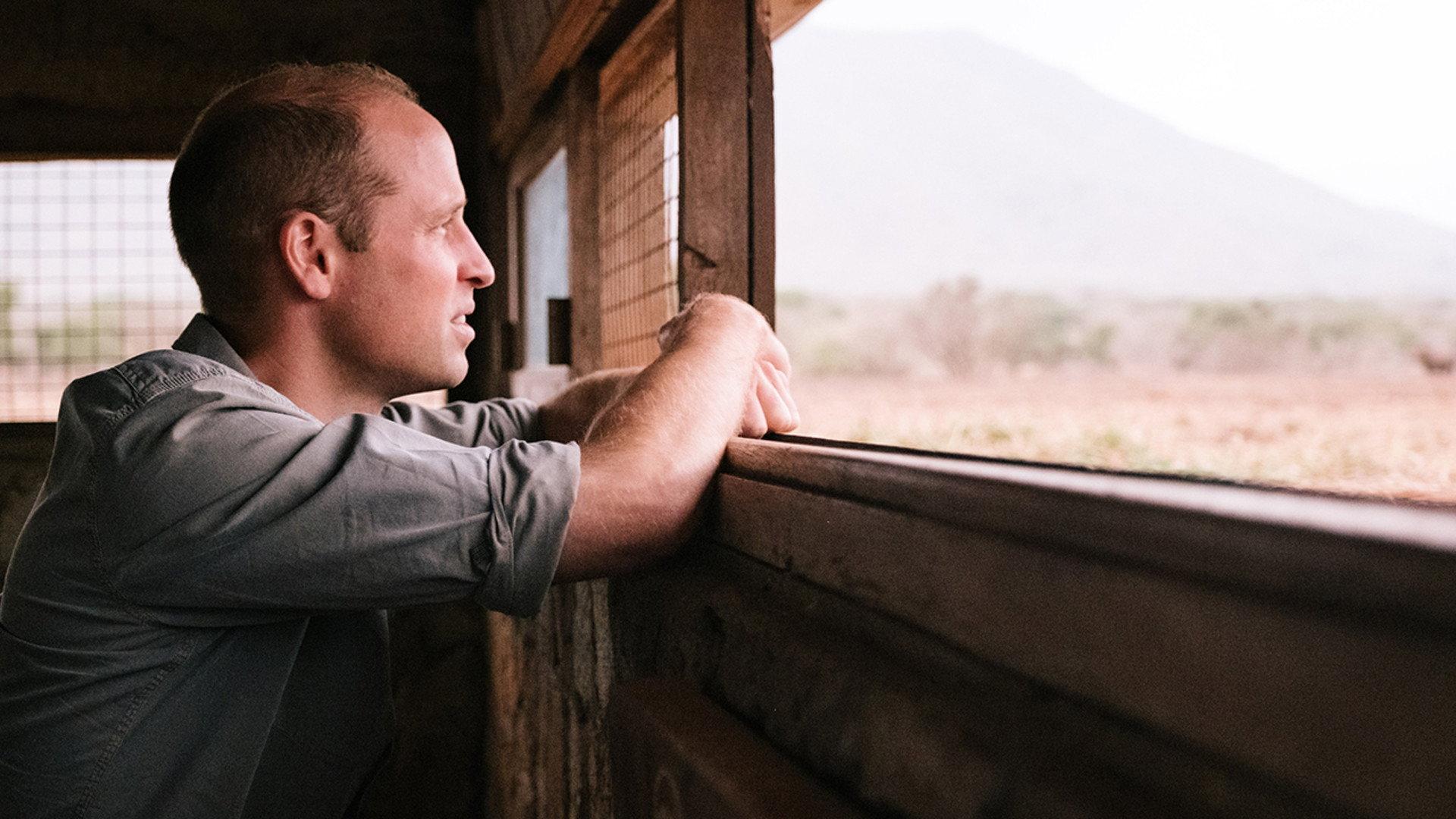 Prince William: A Planet For Us All 2020 movie scene
